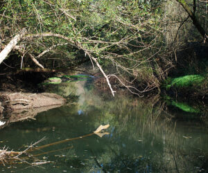 25072013111539 1183 lebensraum 1106 altarm1