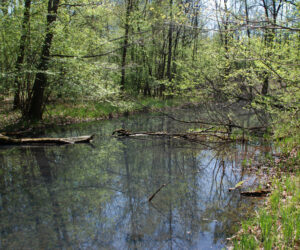 25072013111633 1184 lebensraum 1106 altarm2