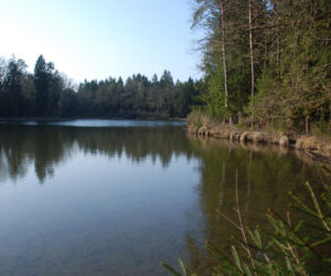 25072013111733 1185 lebensraum 1107 fischteich1