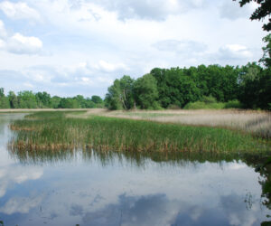 25072013111815 1186 lebensraum 1107 fischteich3