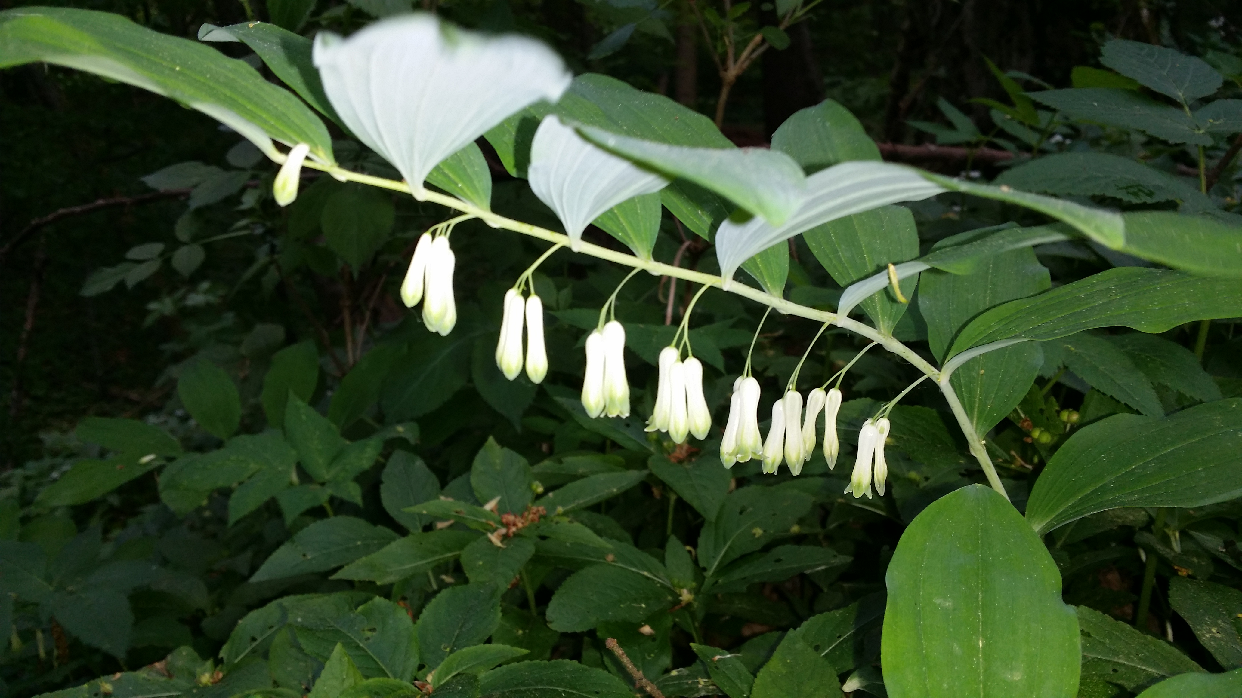 26042016045235 2805 art 1747 20160424 083041