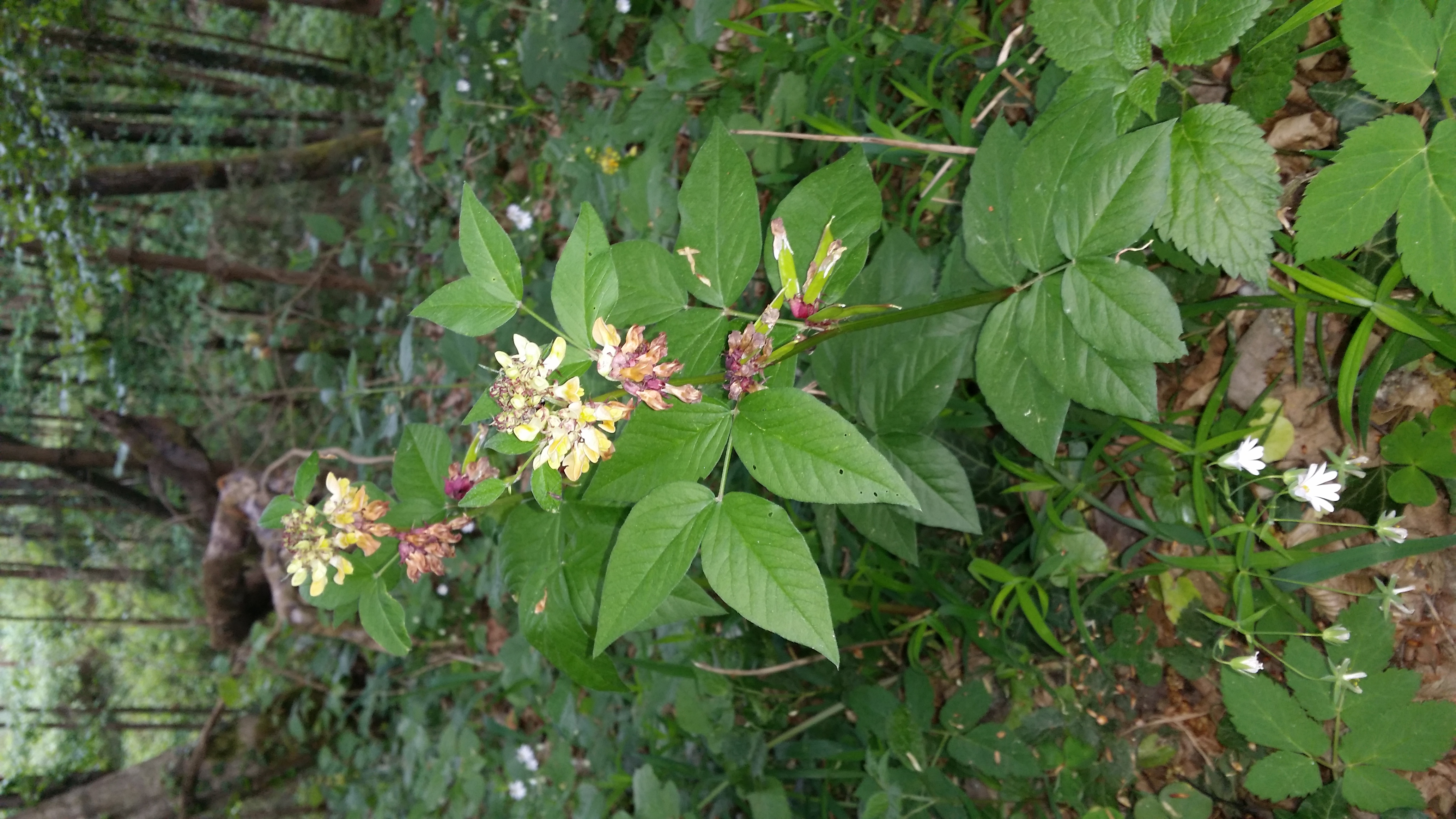 26042016045420 2806 art 1429 20160424 082214