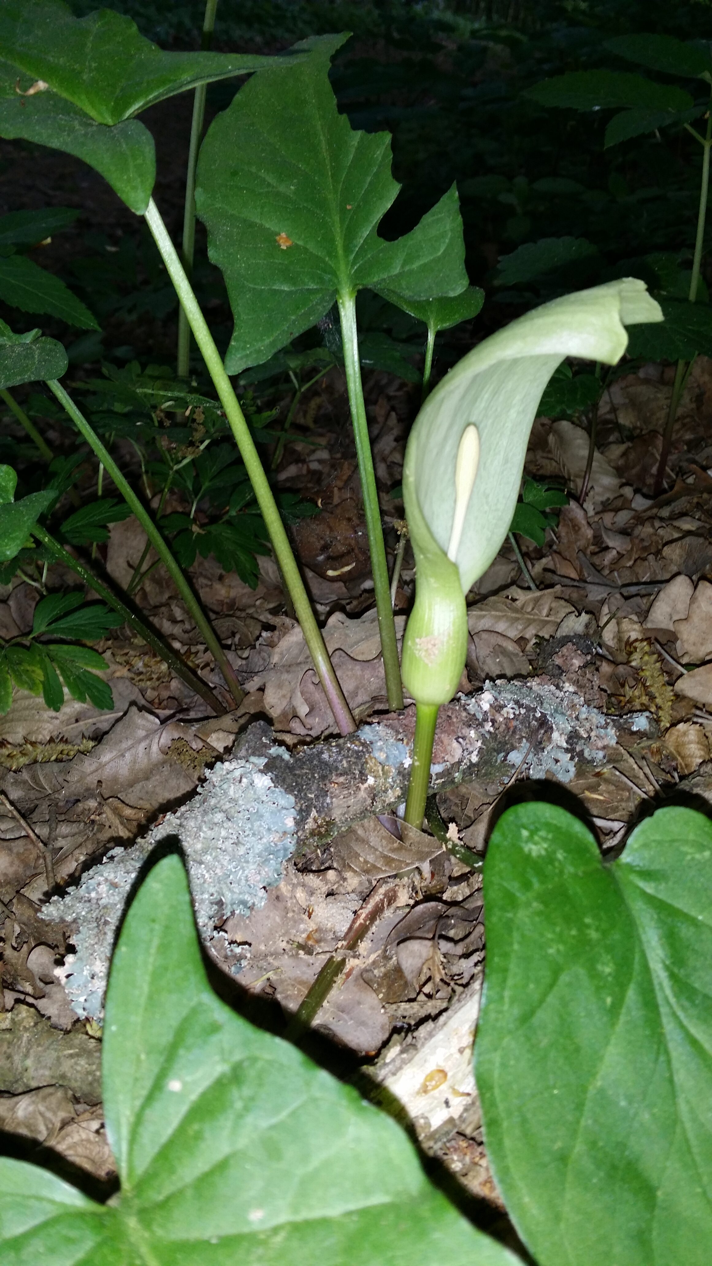 26042016045559 2807 art 235 20160424 082113