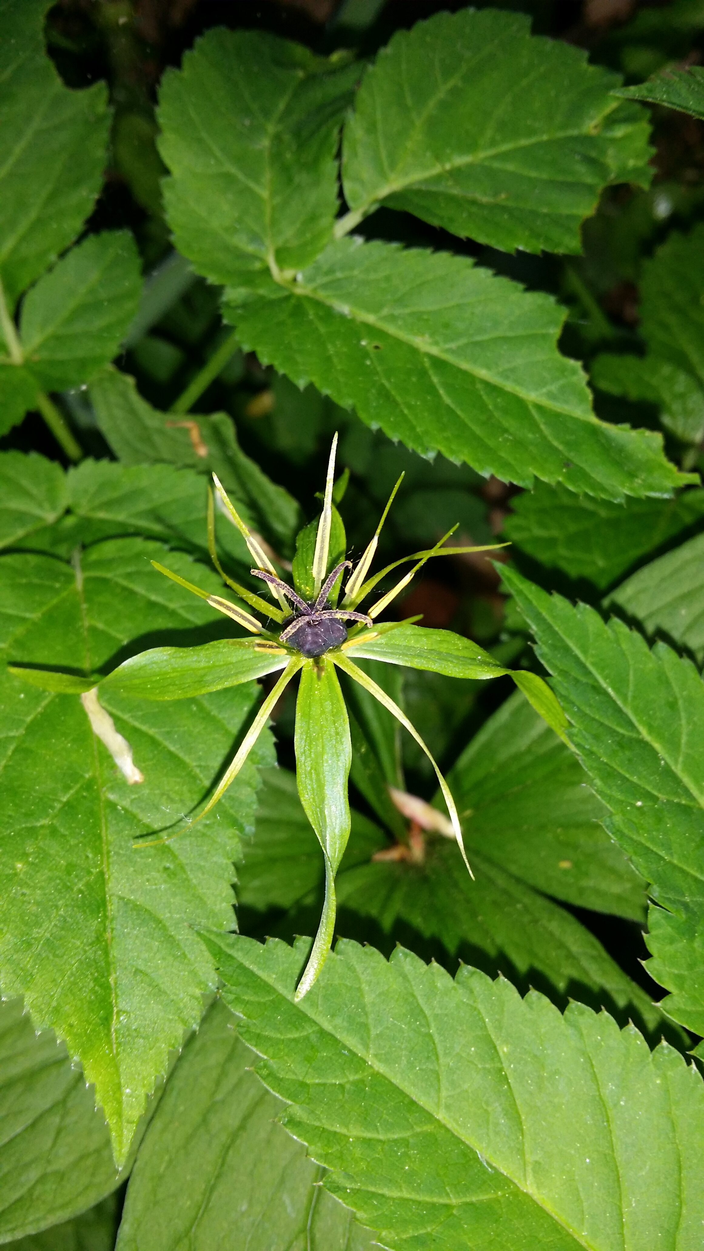 26042016045747 2808 art 1422 20160424 082319