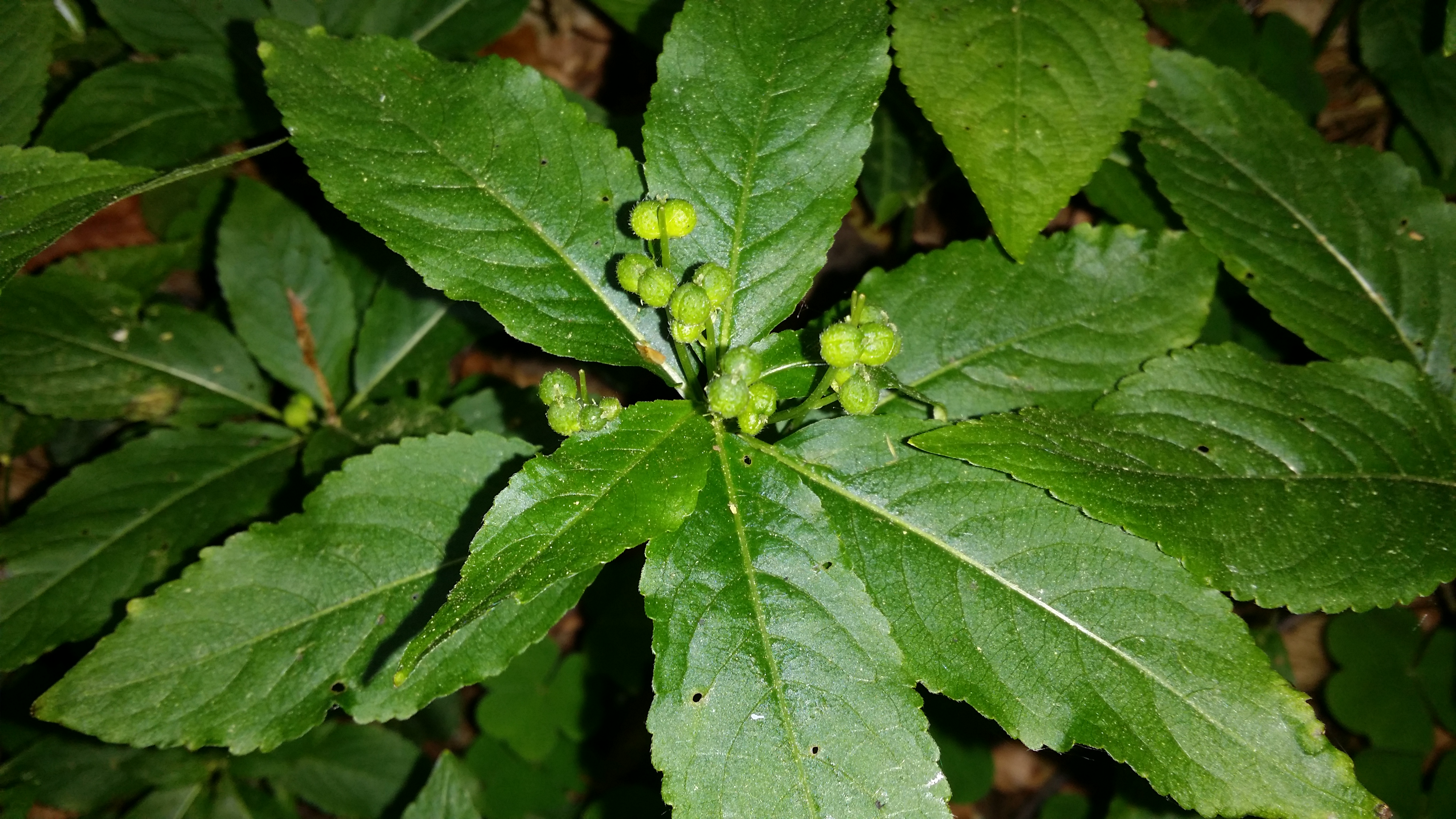 26042016045959 2809 art 1459 20160424 082939