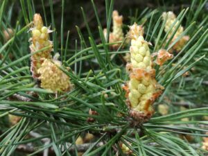 26042018191023 3542 art 1125 img 20180426 142418