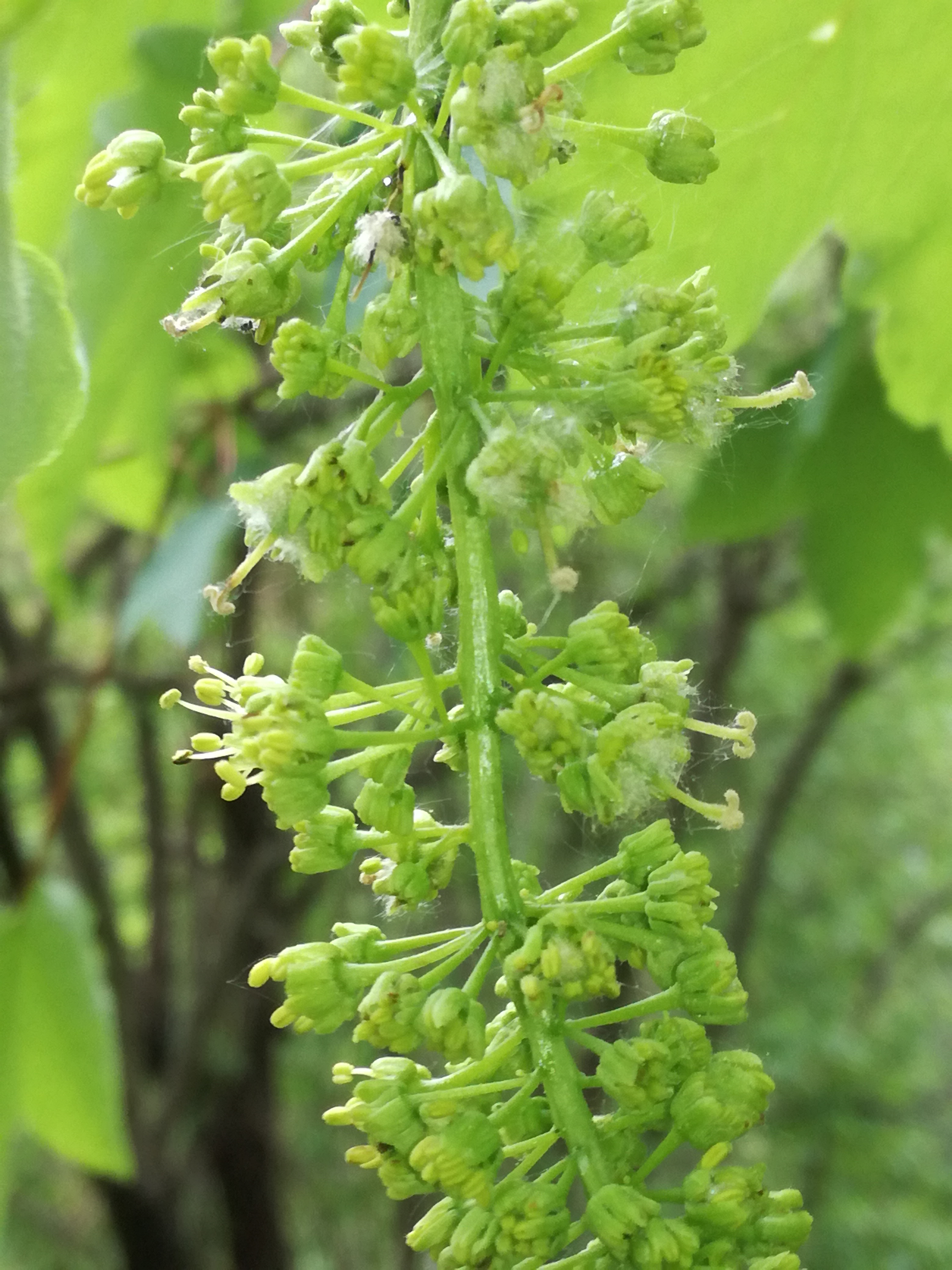 26042018191535 3543 art 1308 img 20180426 142505