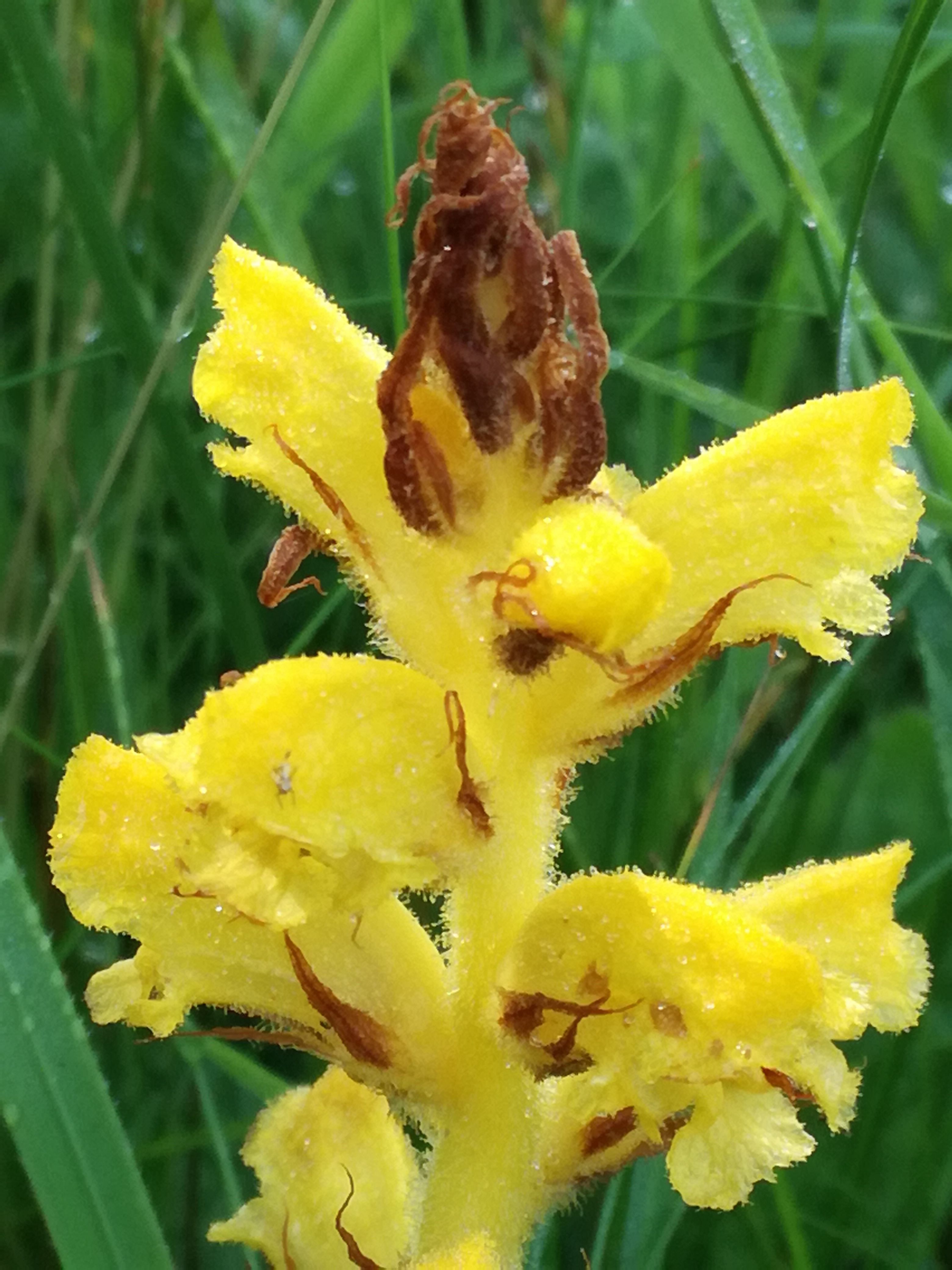 26052018205444 3686 art 1751 img 20180526 092555