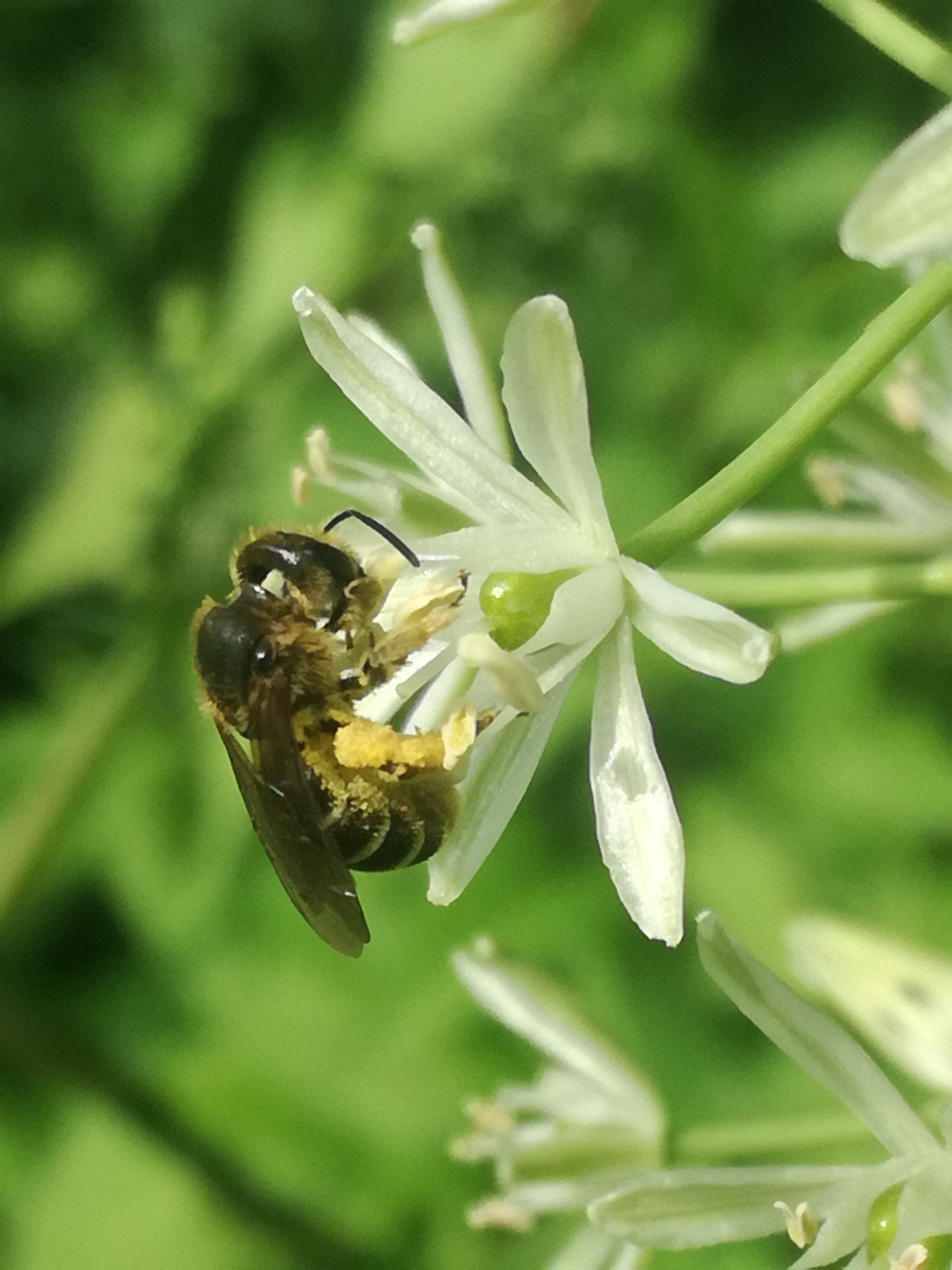 26052018213659 3687 art 2223 img 20180524 155732 1