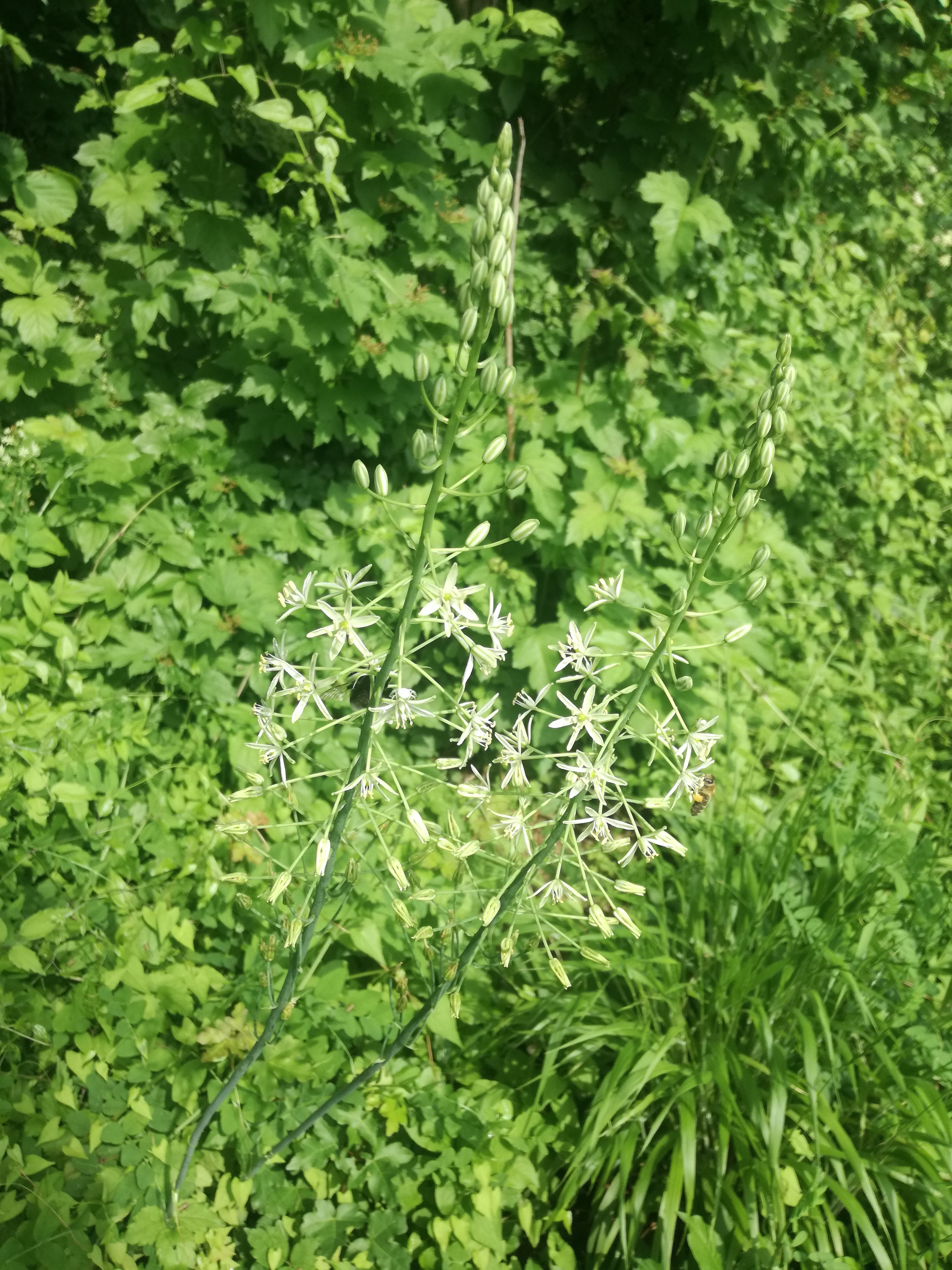 26052018213815 3688 art 2223 img 20180524 155622