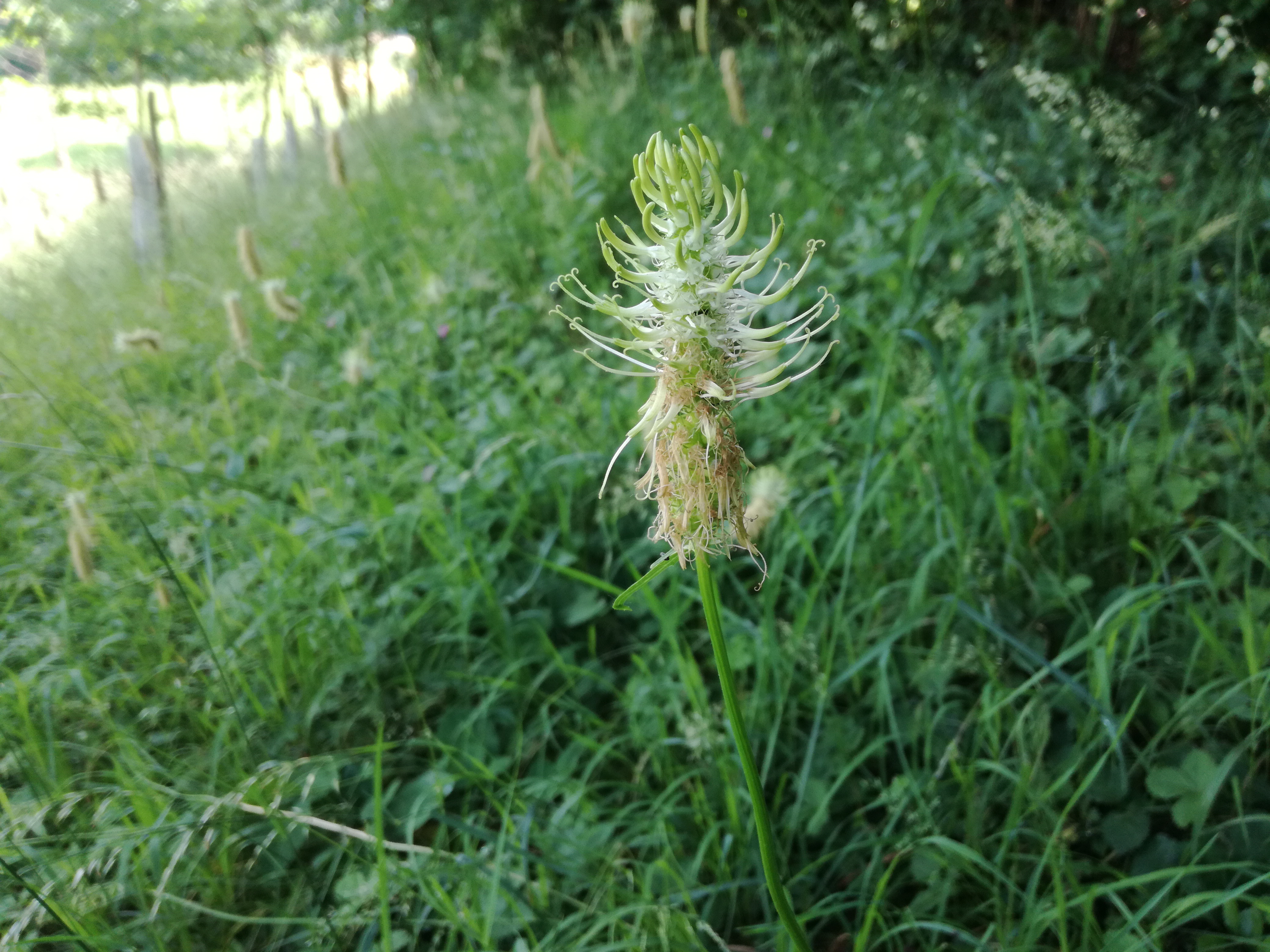 26052018214714 3689 art 2224 img 20180526 115327