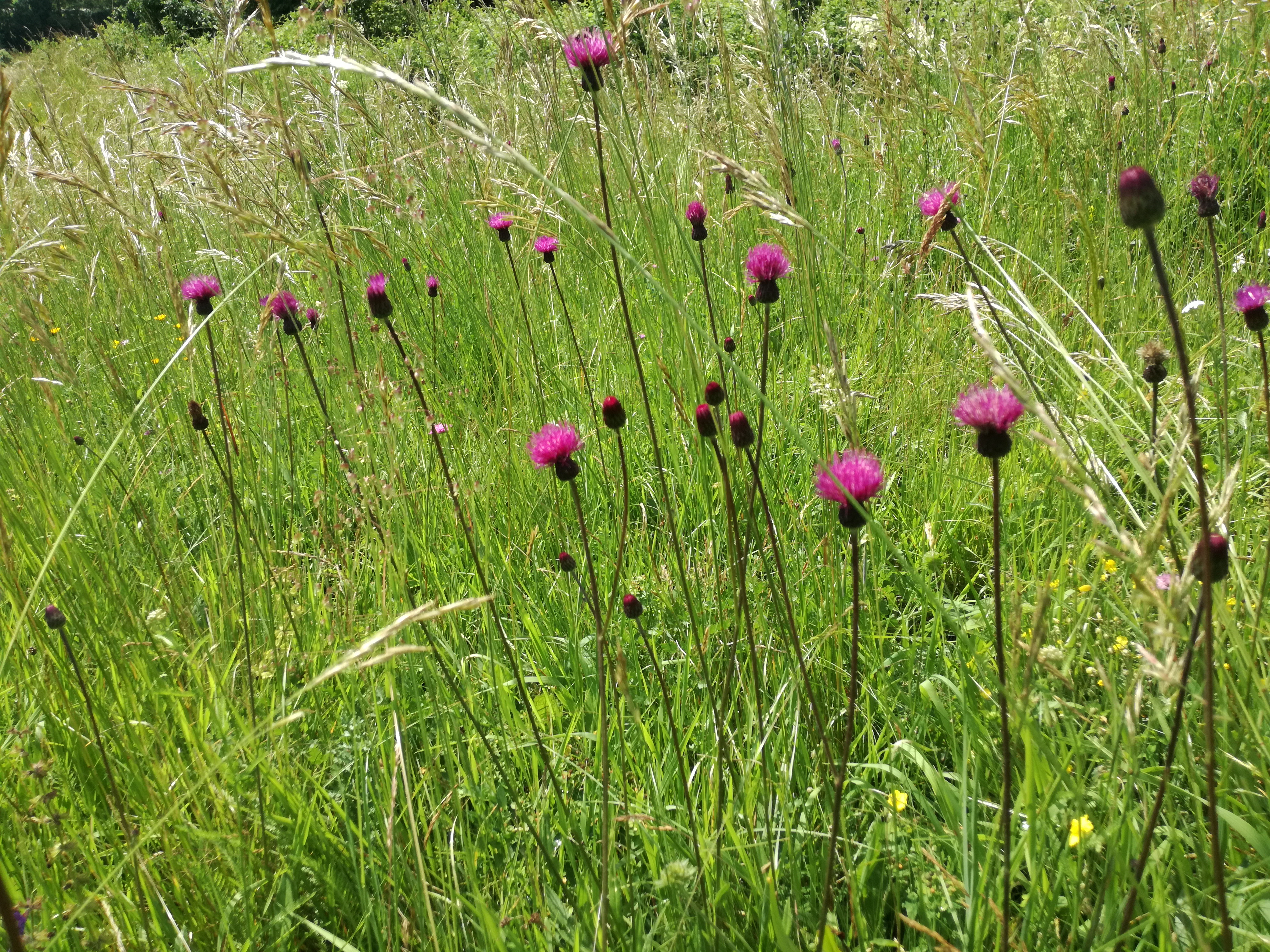 26052018215903 3692 art 1716 img 20180526 102005