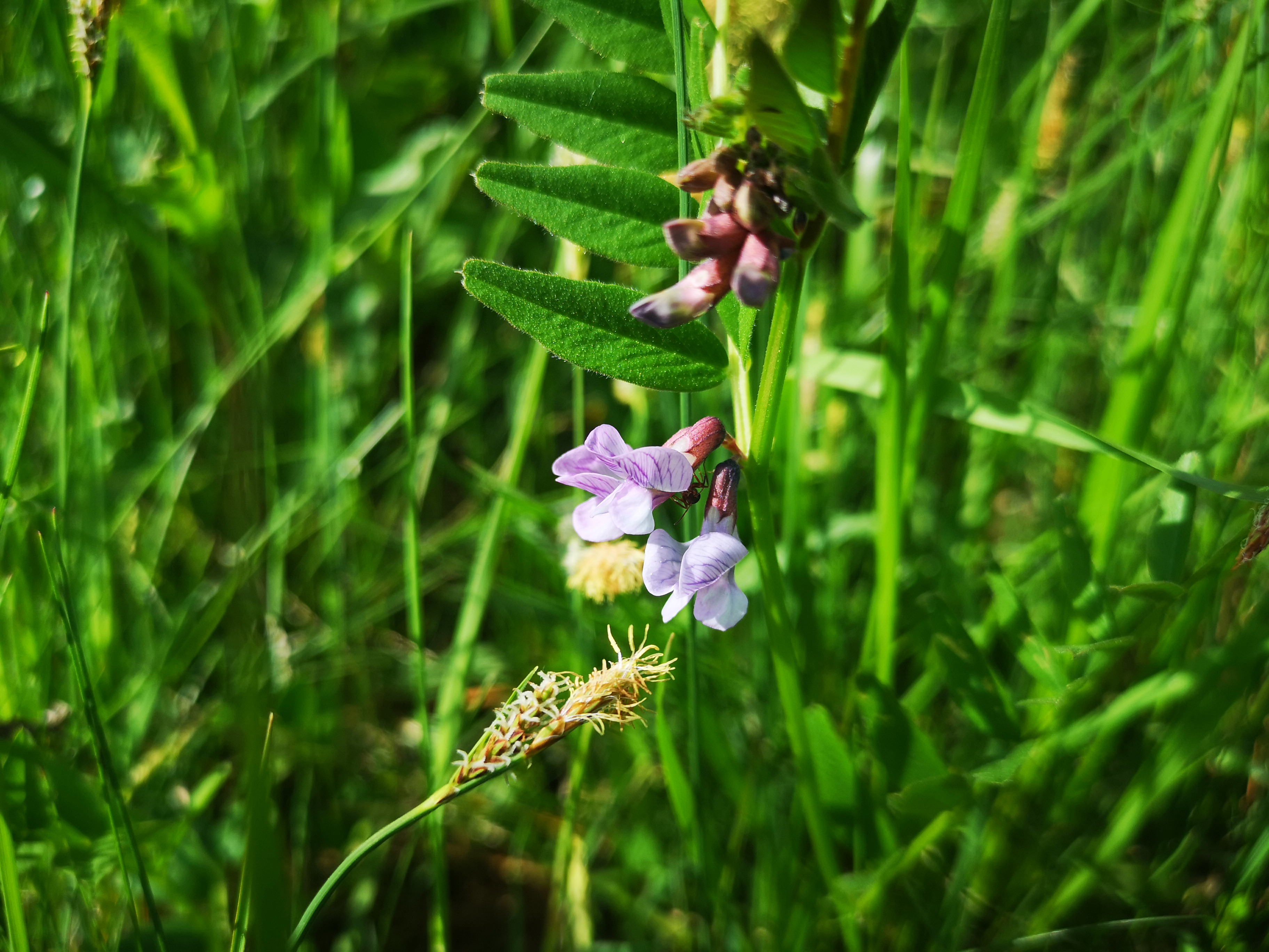 26052021100116 4046 art 1480 img 20210510 100410