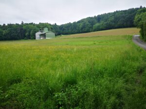 26052021102738 4048 lebensraum 1198 img 20210524 104742