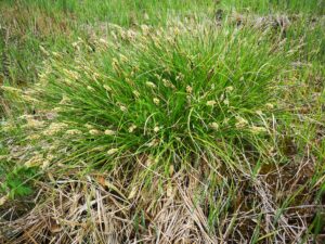 26052021102904 4049 lebensraum 1198 img 20210502 121236