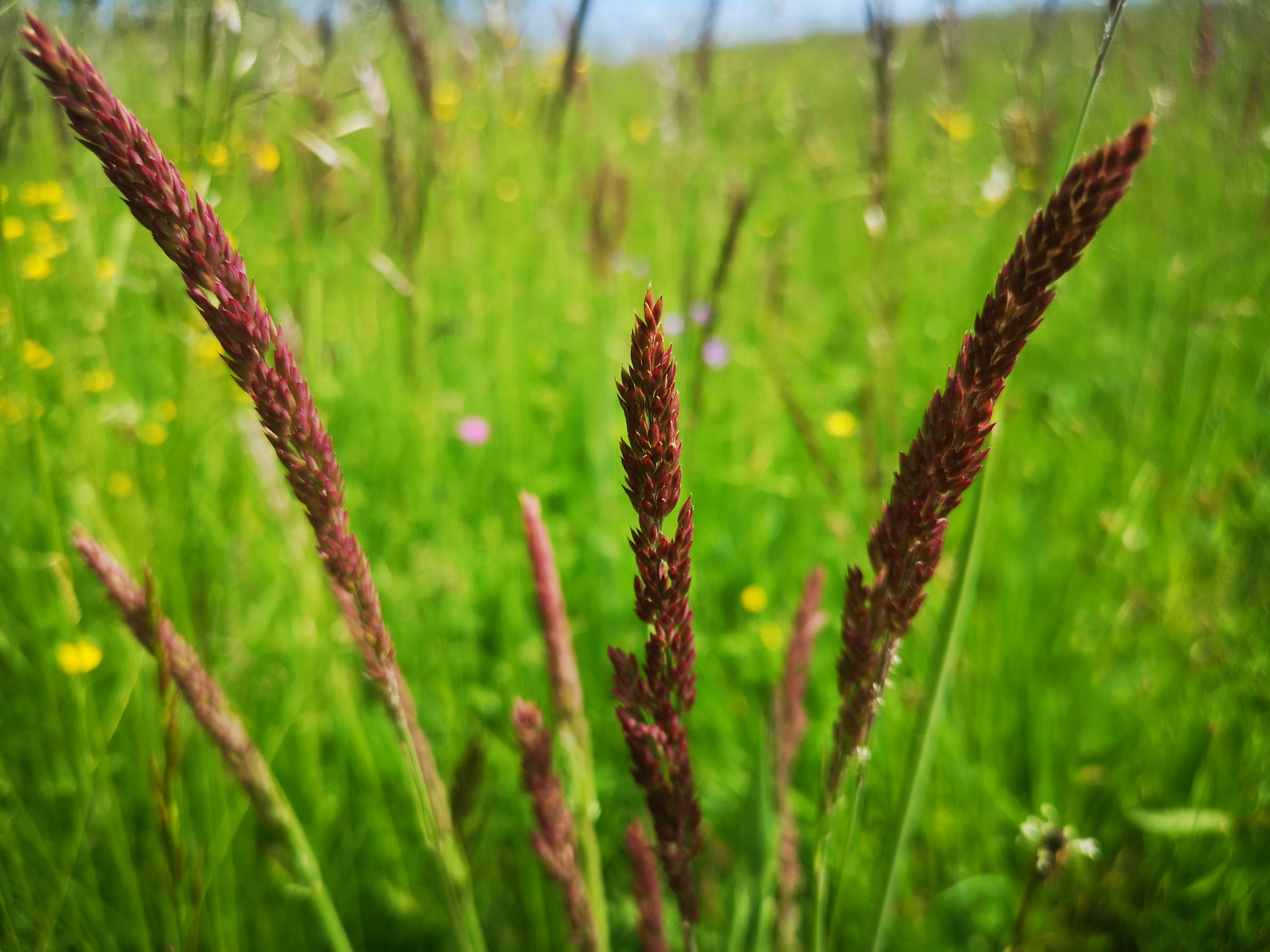 26052021133633 4072 art 567 img 20210521 140934