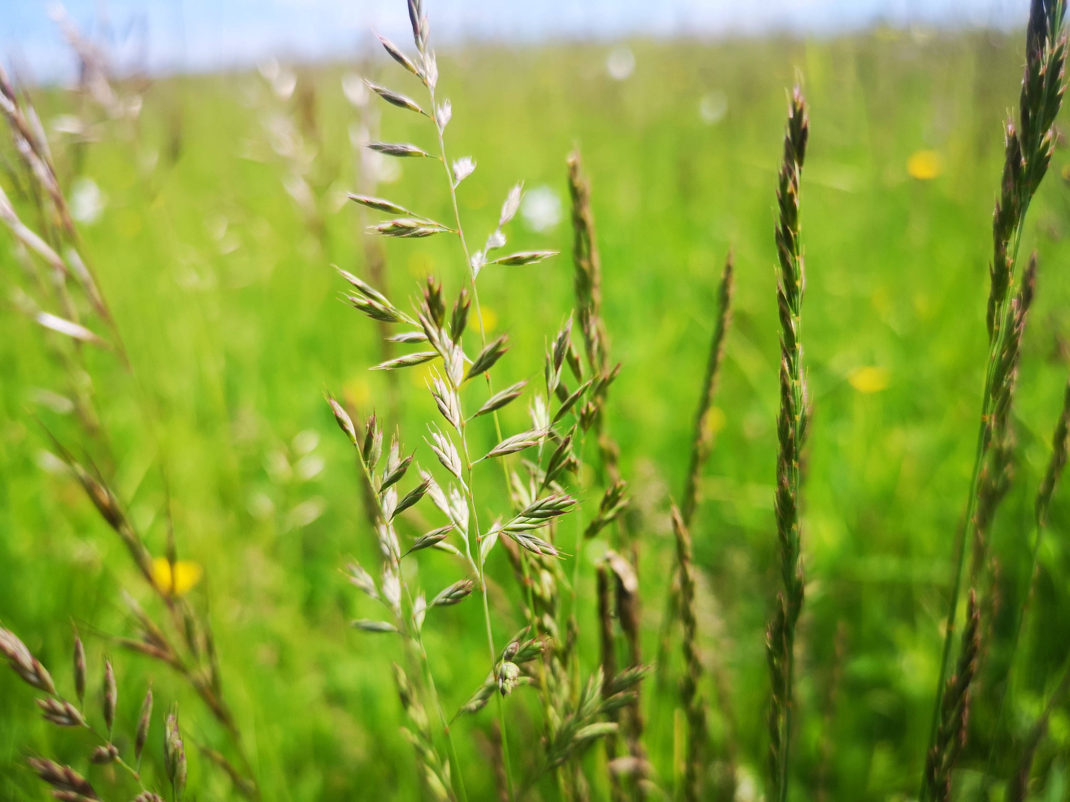 26052021133753 4073 art 536 img 20210521 140929