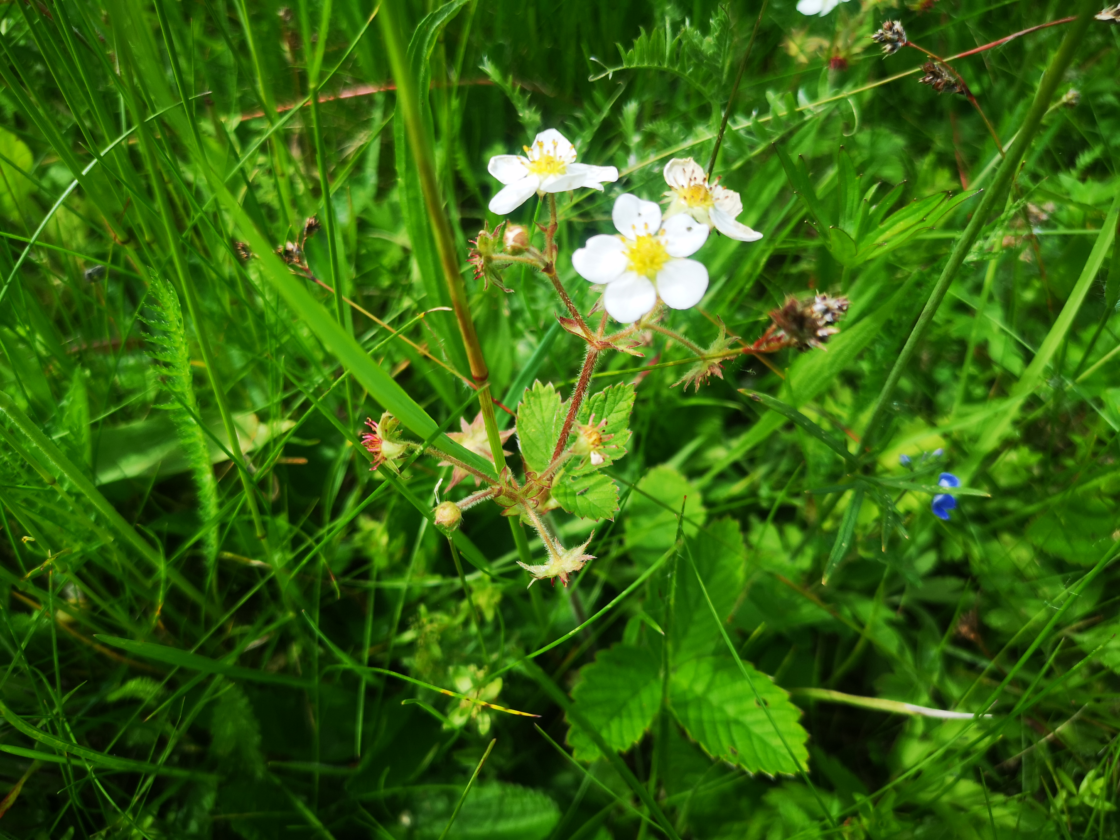 26052021133936 4074 art 1451 img 20210521 141103