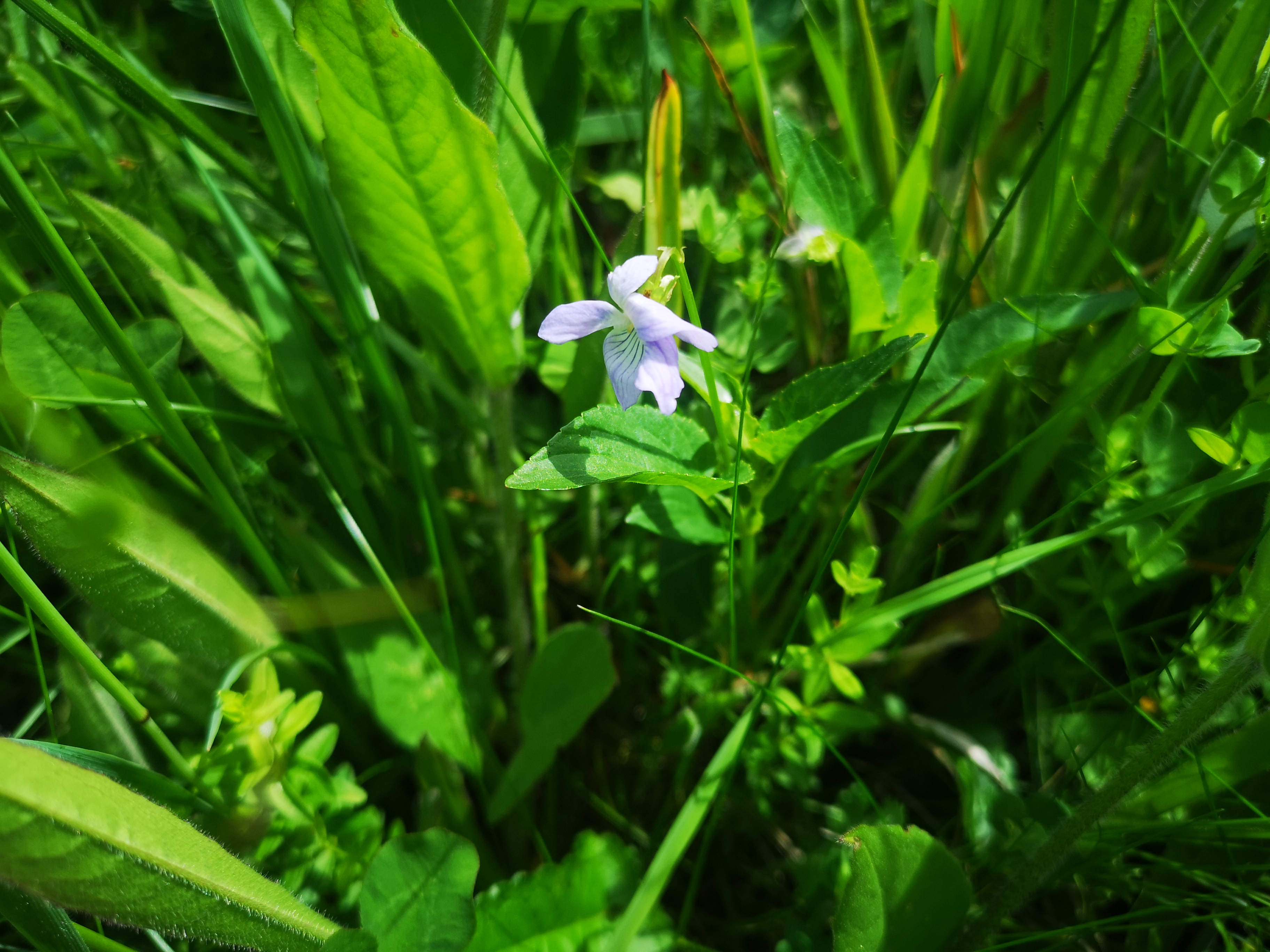 26052021134101 4075 art 1076 img 20210521 141232