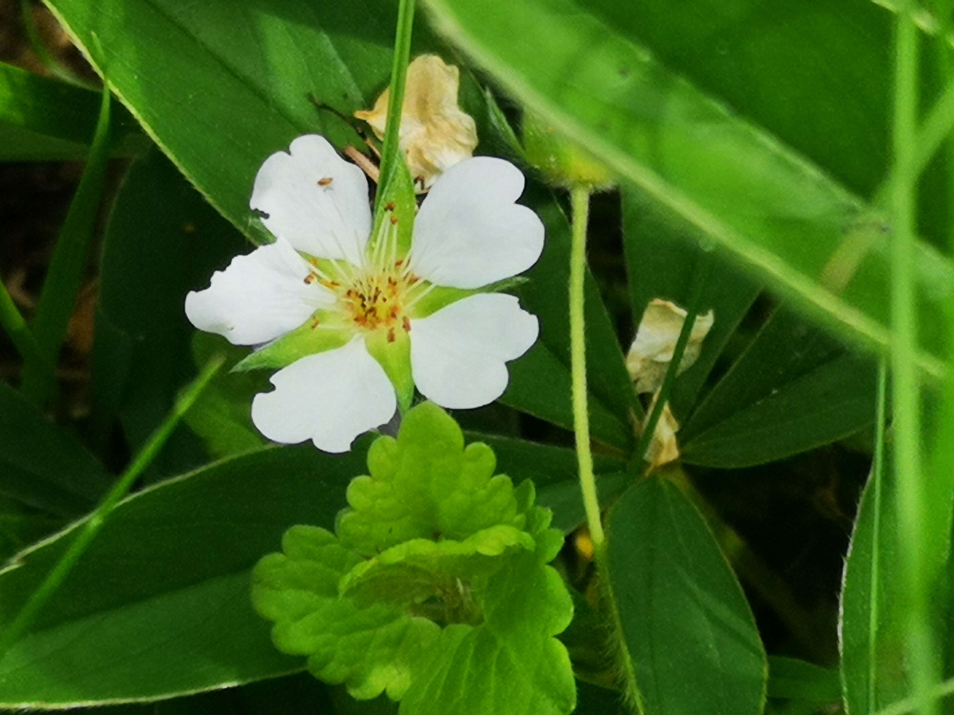 26052021134420 4077 art 1713 img 20210521 143917