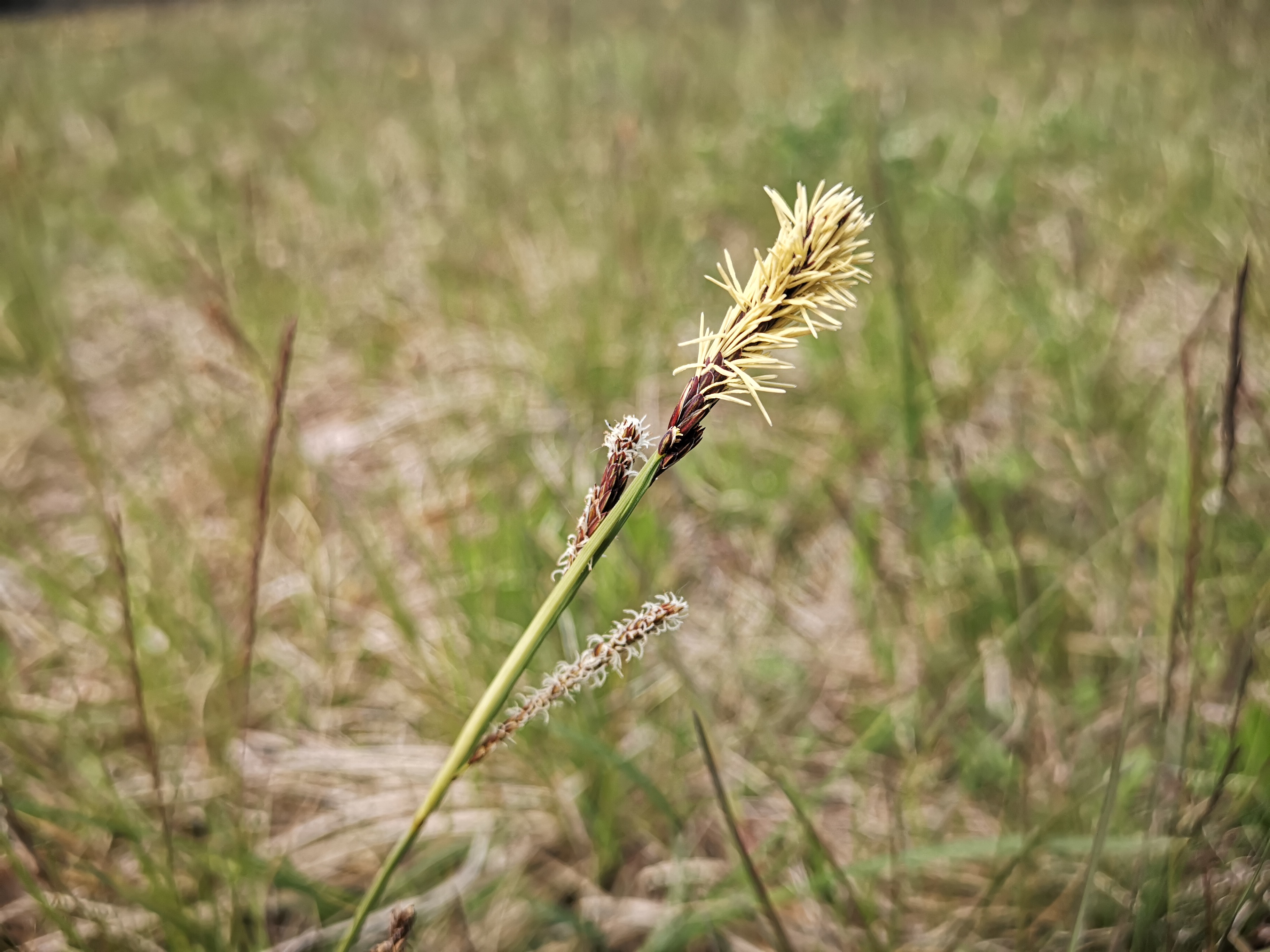 26052021134631 4078 art 1519 img 20210425 110751