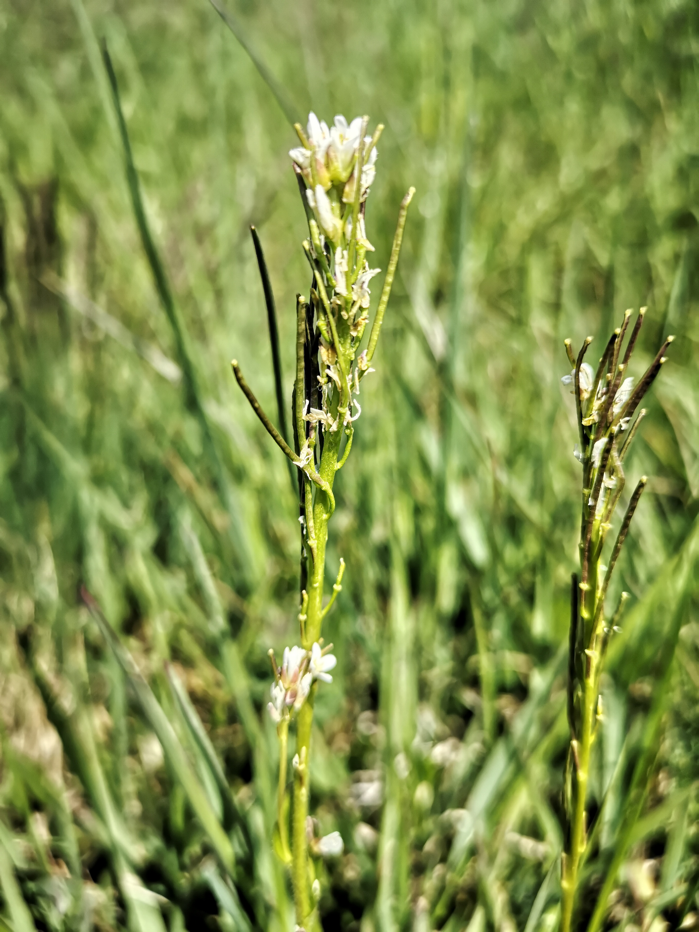 26052021134841 4079 art 1470 img 20210425 112445