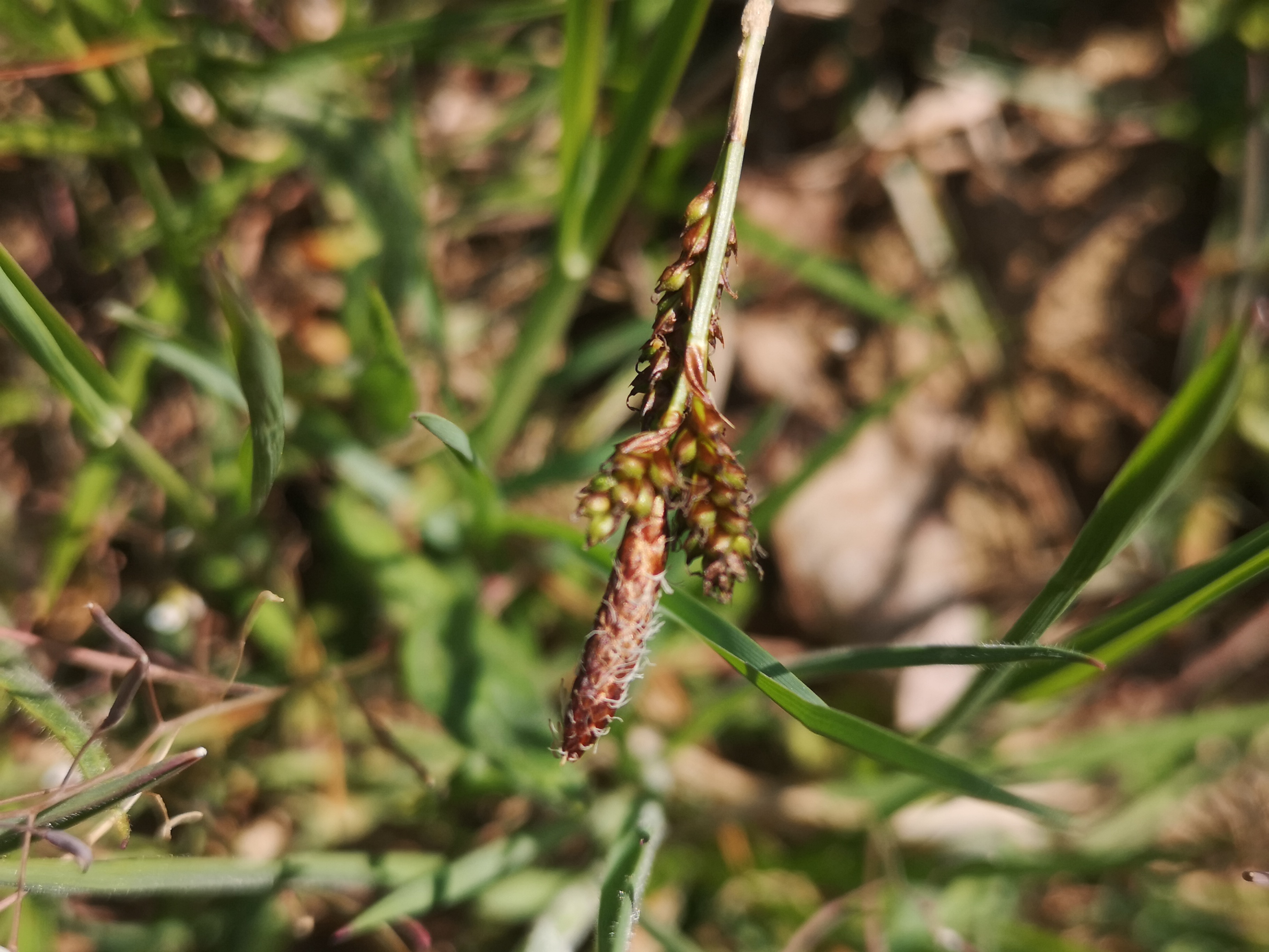 26052021135057 4080 art 1457 img 20210425 114213