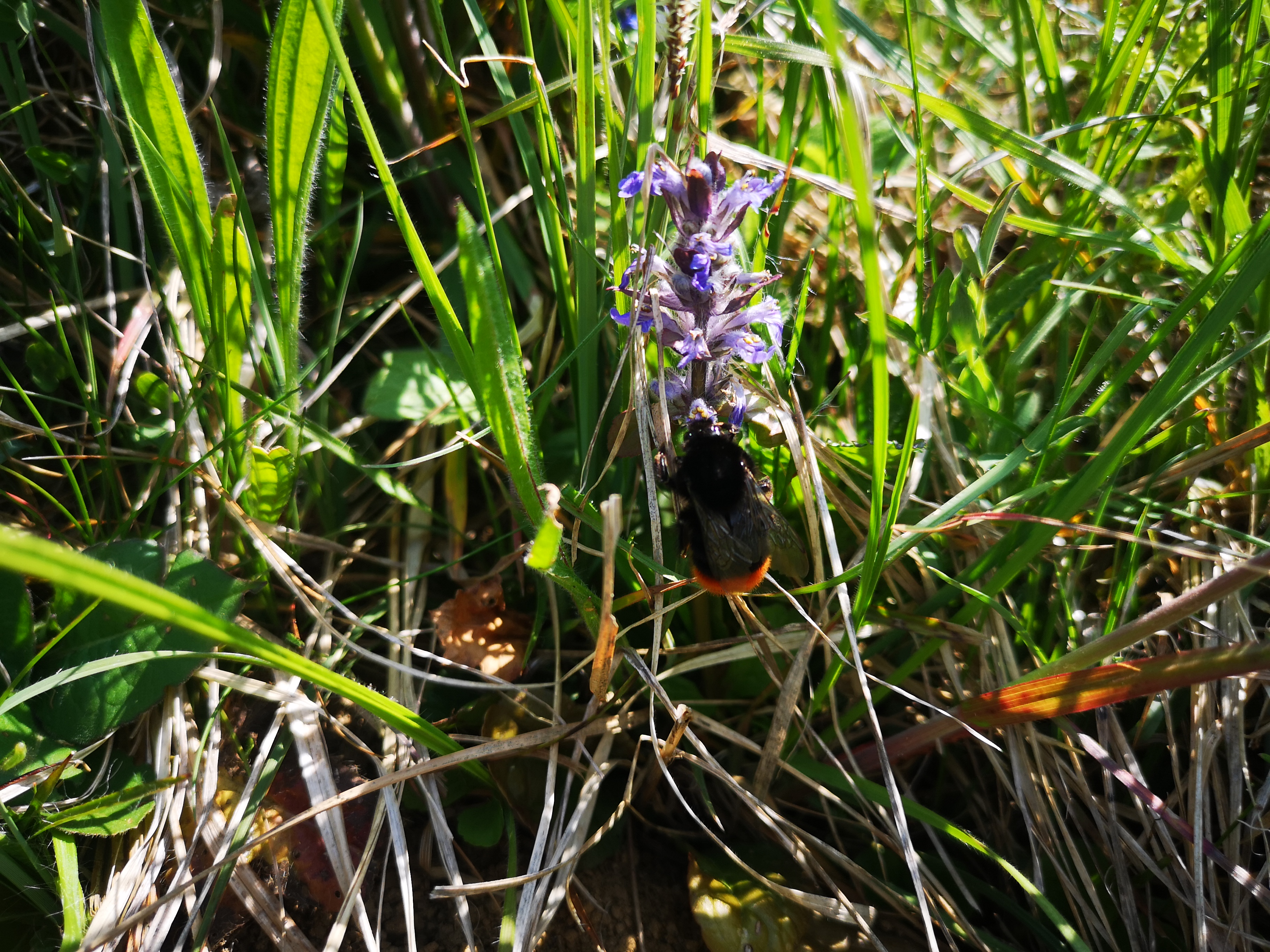 26052021135333 4081 art 605 img 20210425 114936