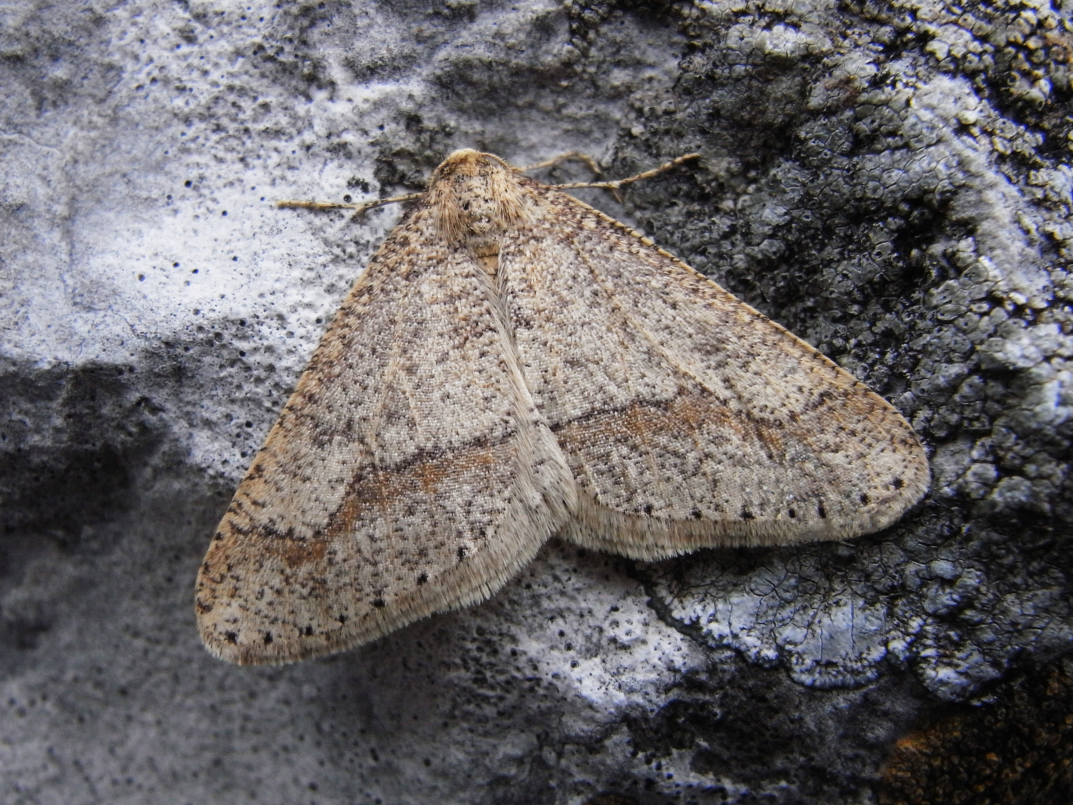 27052013144737 777 art 386 20399 slo podgorje 1003 bearbeitet 1