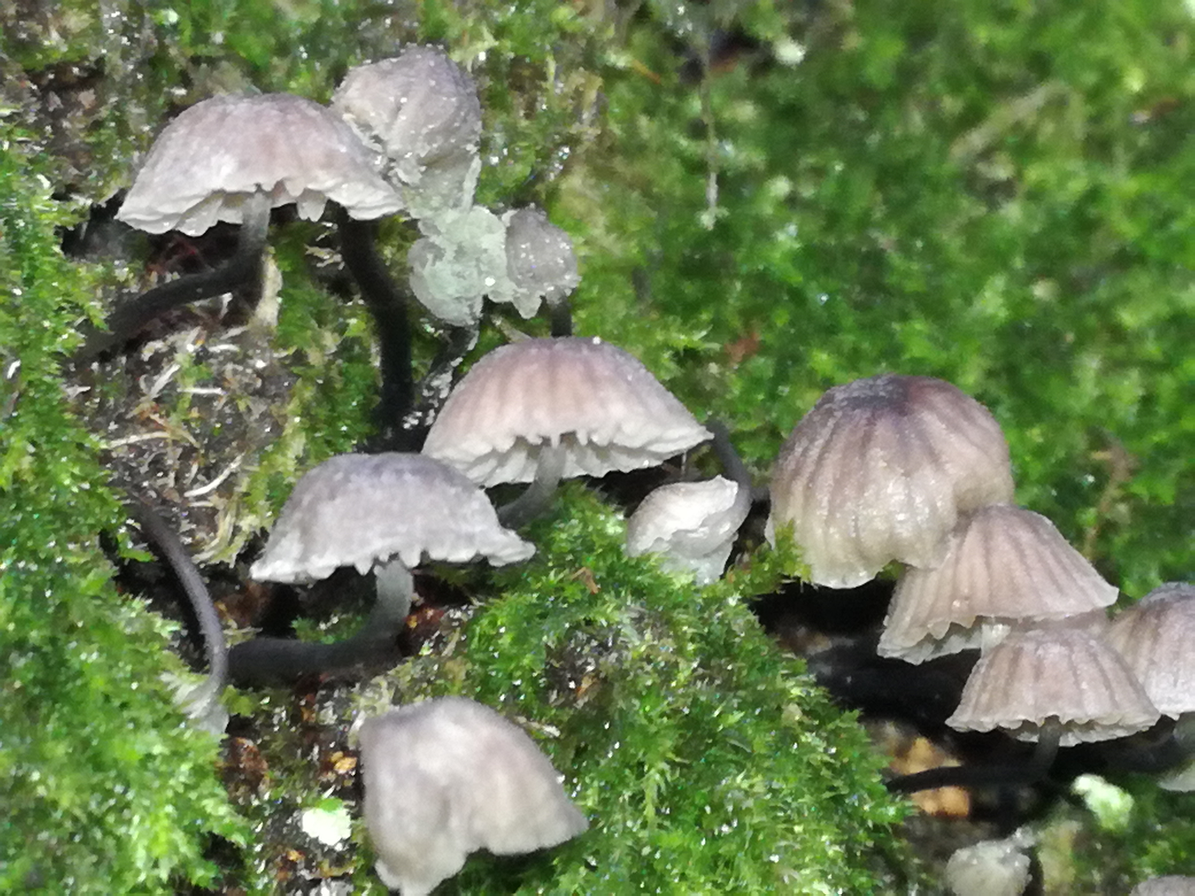 27112017192045 3365 art 1994 img 20171109 115141