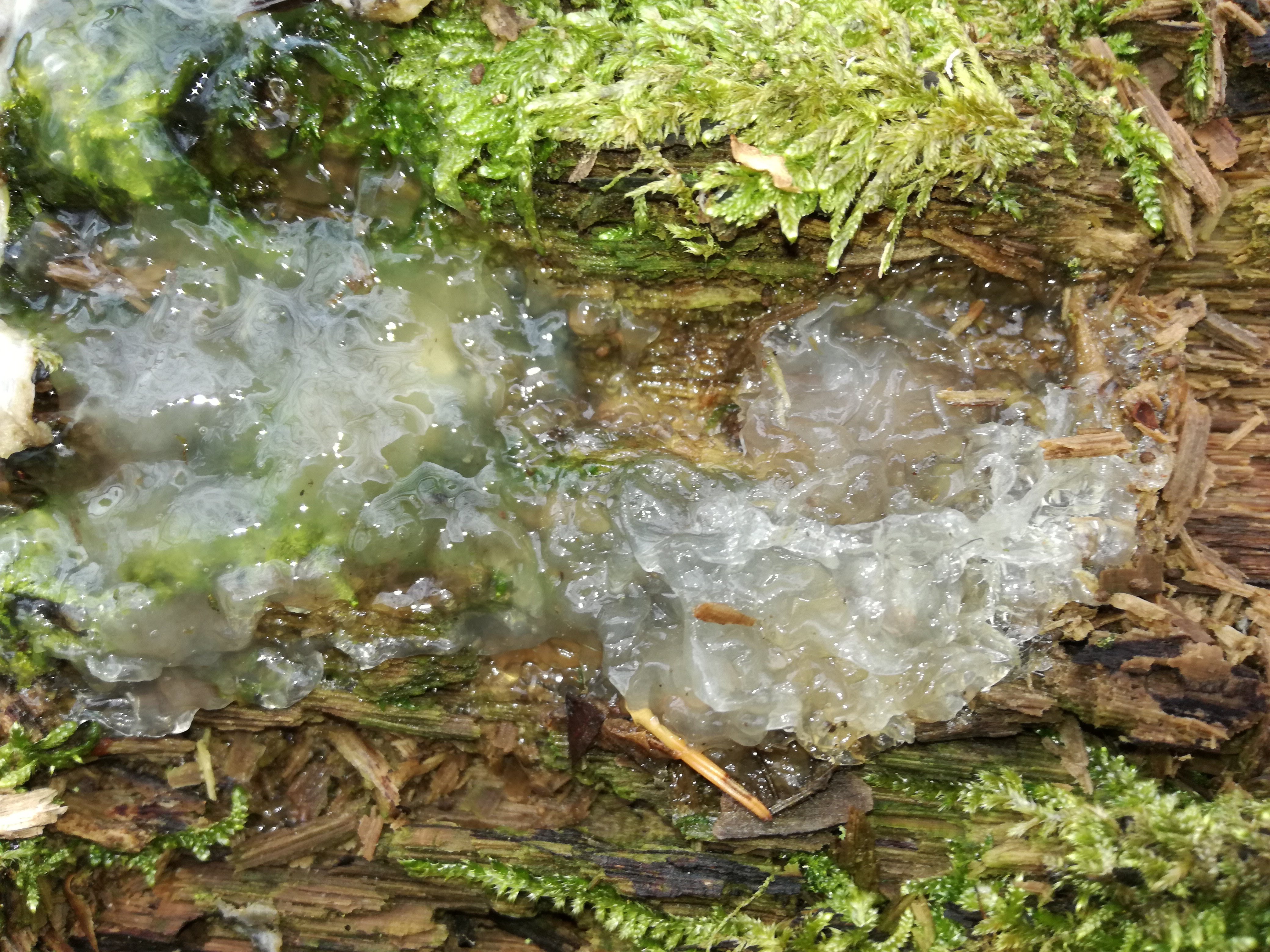 27122017204703 3371 art 1996 img 20171224 125908