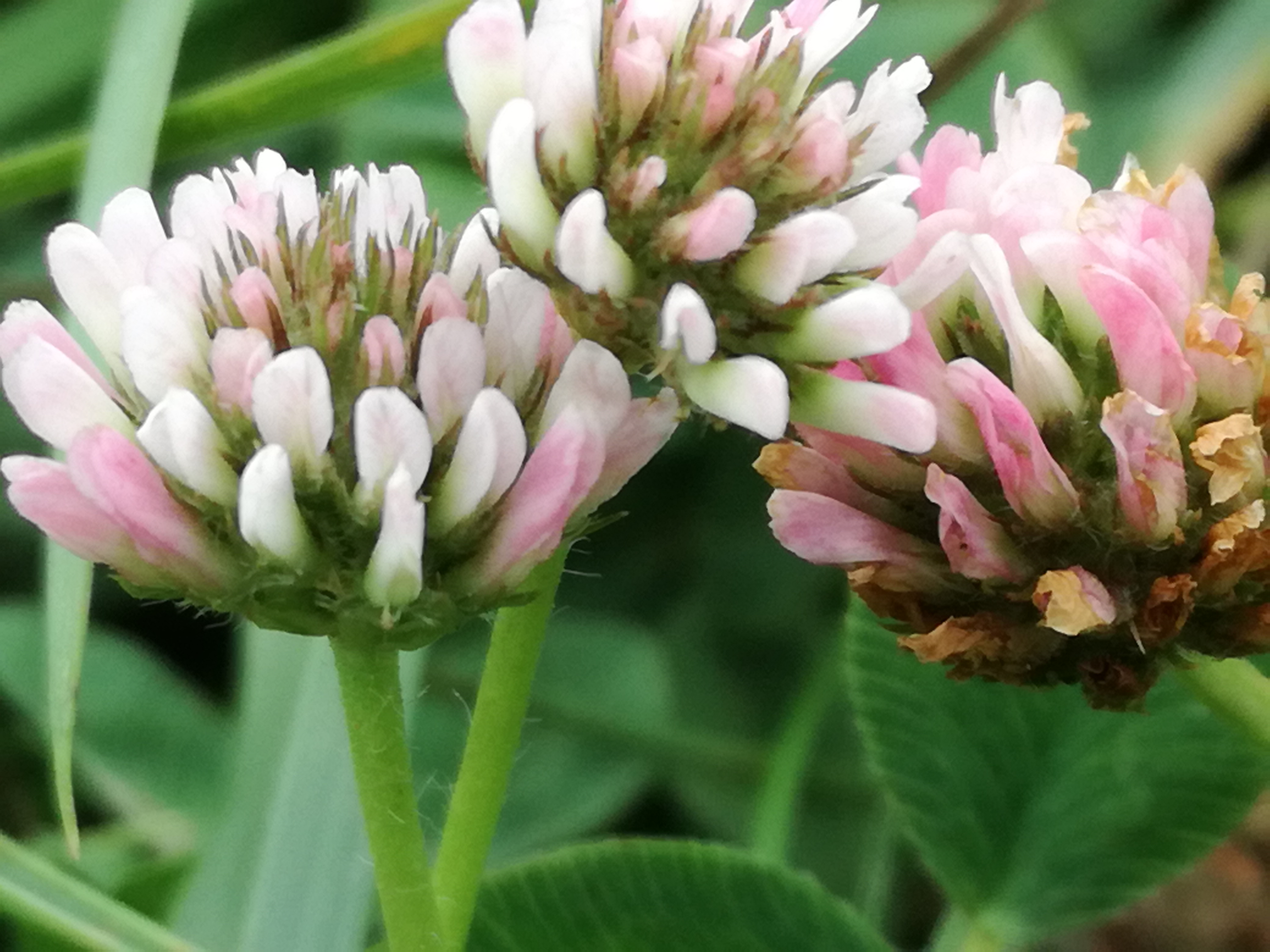 28022018144957 3478 art 1524 img 20170819 103610