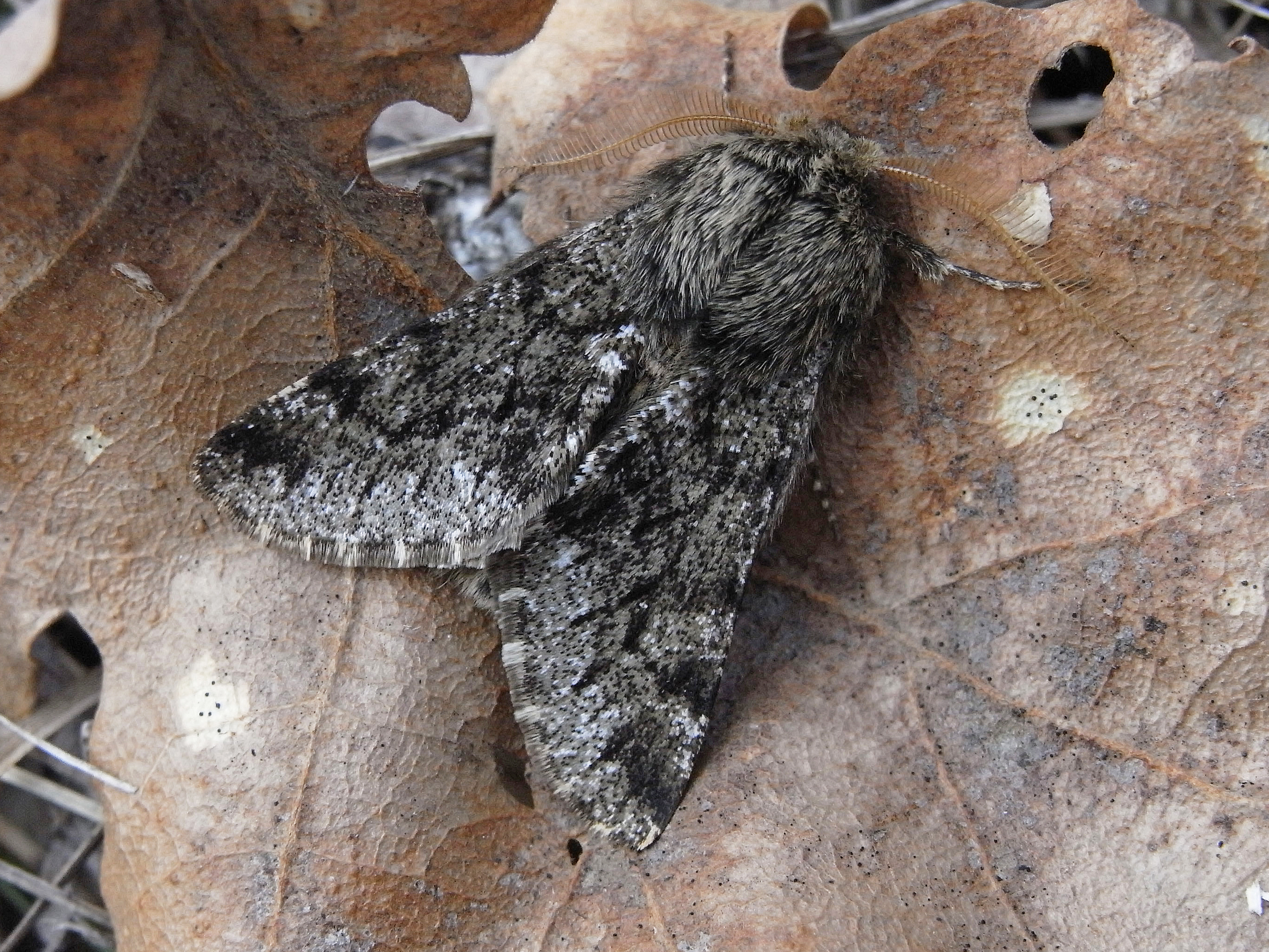 28052013104438 789 art 400 20397 slo podgorje 1003 bearbeitet 1