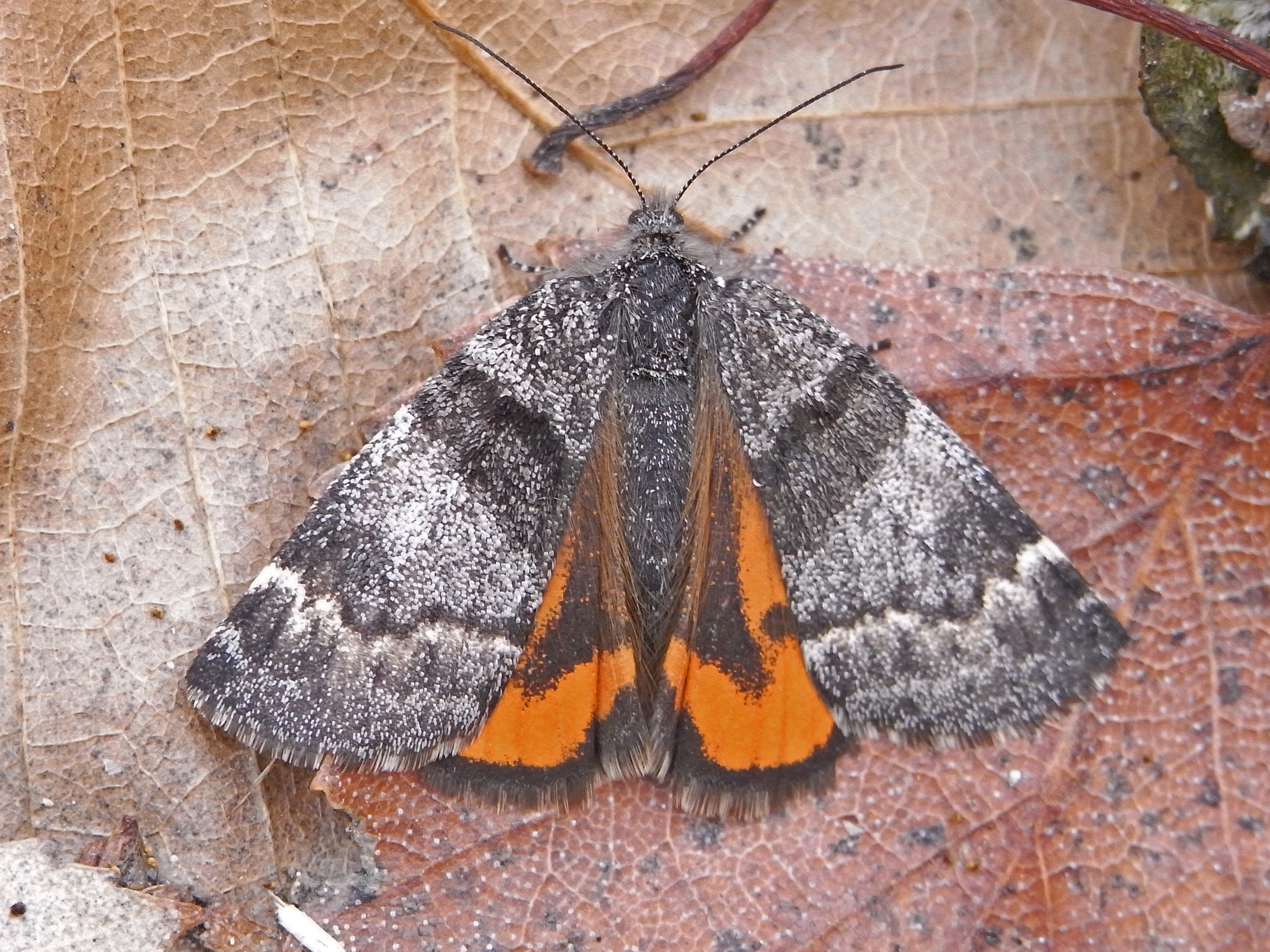 28052013105908 790 art 313 20052013100526 578 art 313 25421 lago 1203