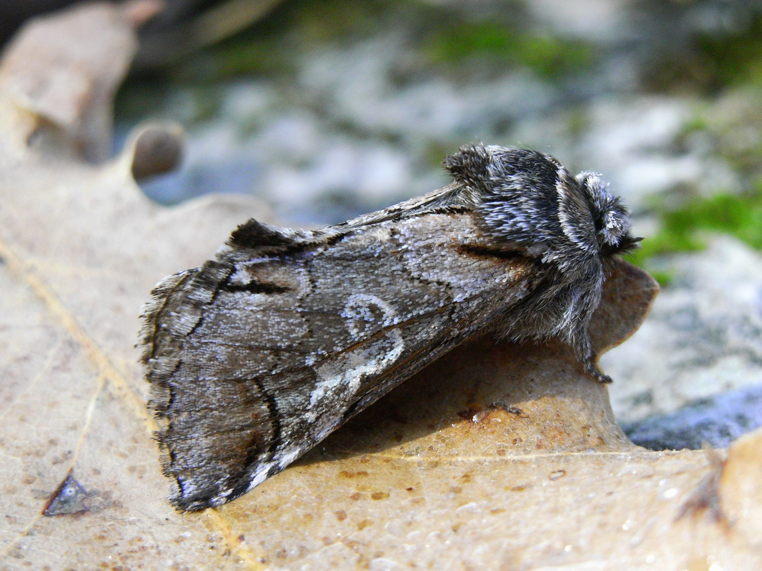 28052013114747 796 art 632 21052013093835 662 art 632 16916 slo podgorje 0811a