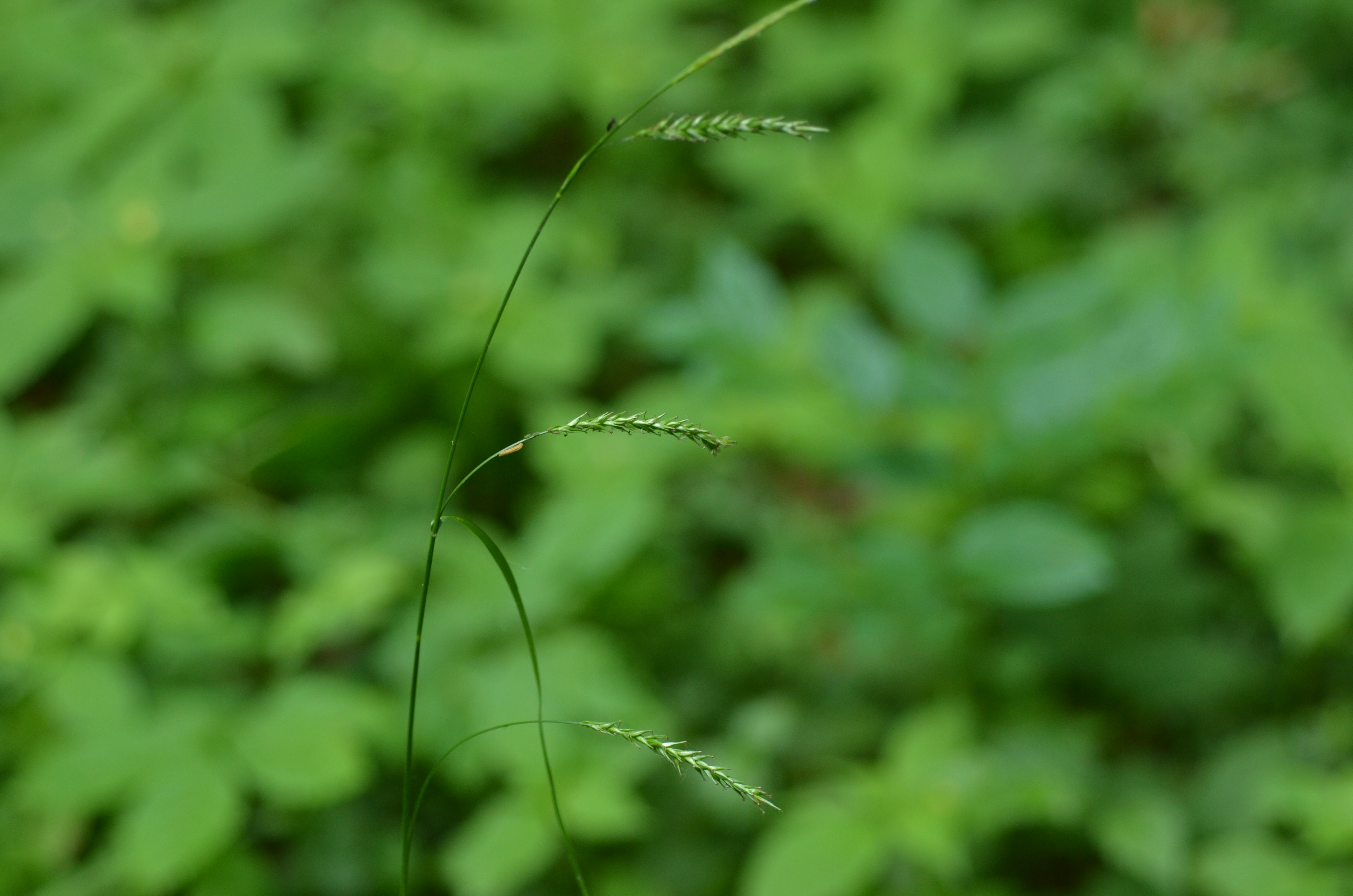 28052014143538 2421 art 1498 dsc 4878