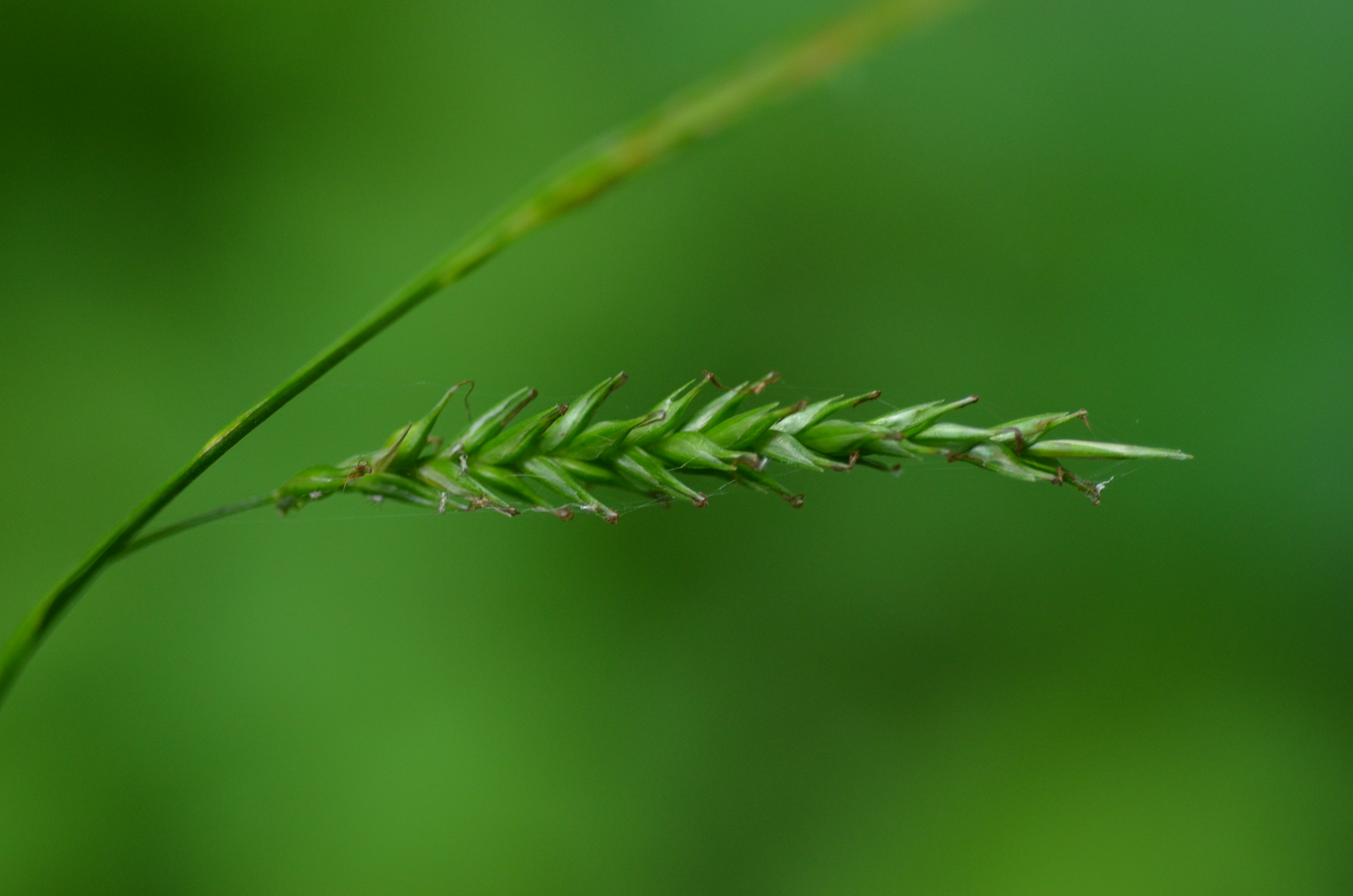 28052014143727 2422 art 1498 dsc 4879