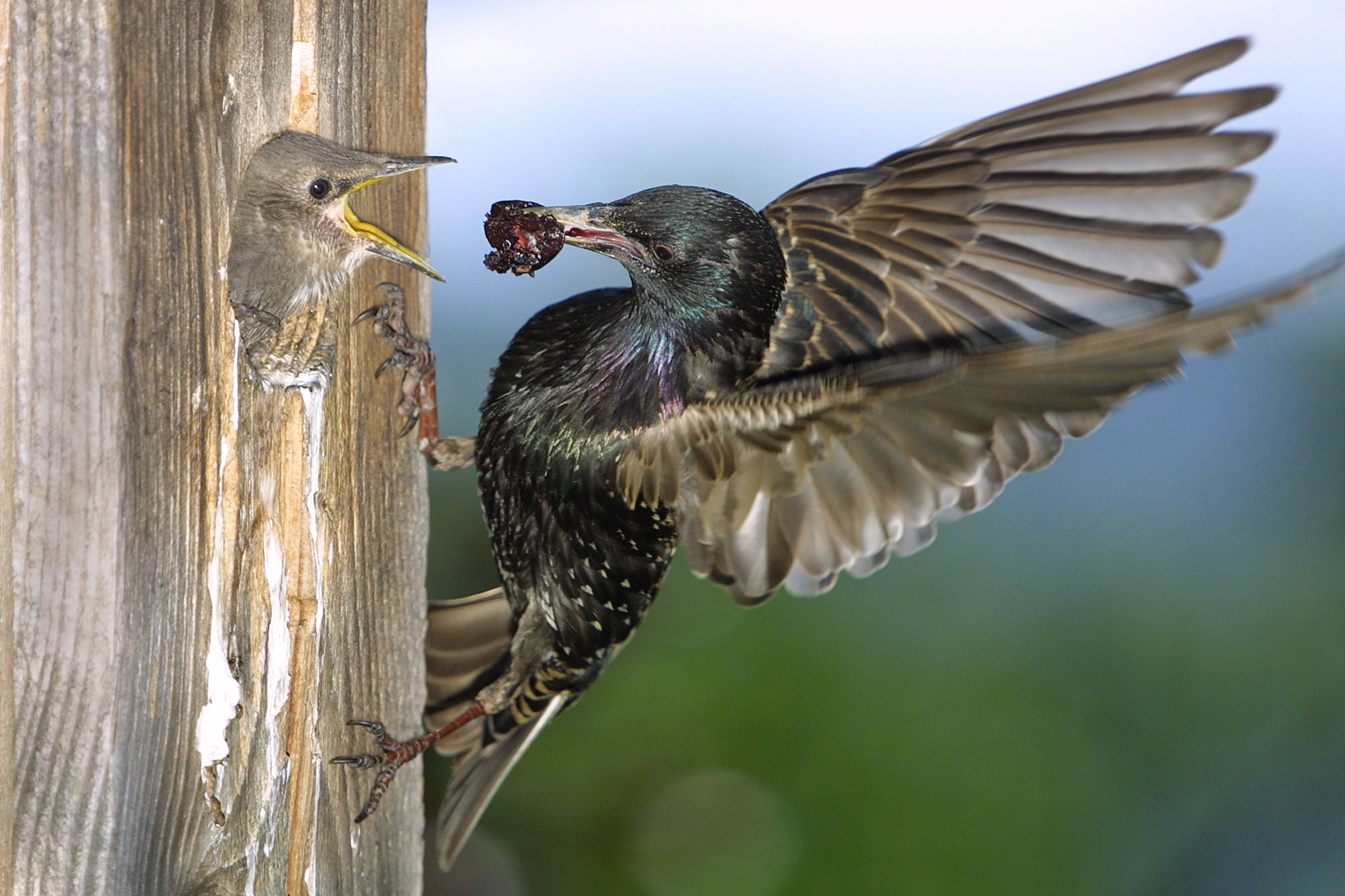 28052014150853 2425 art 1500 img 92911