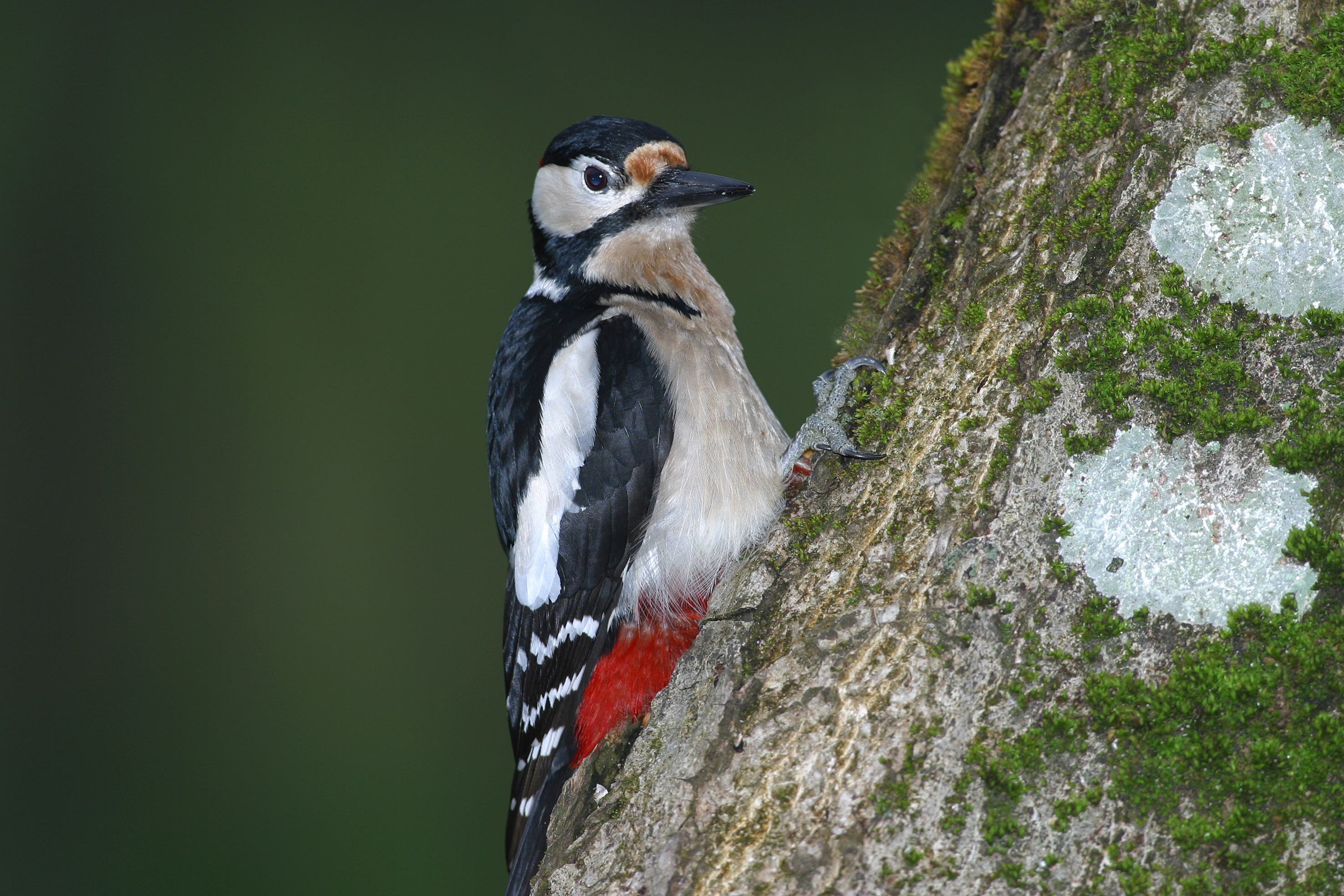 28052014152822 2428 art 1501 img 9868