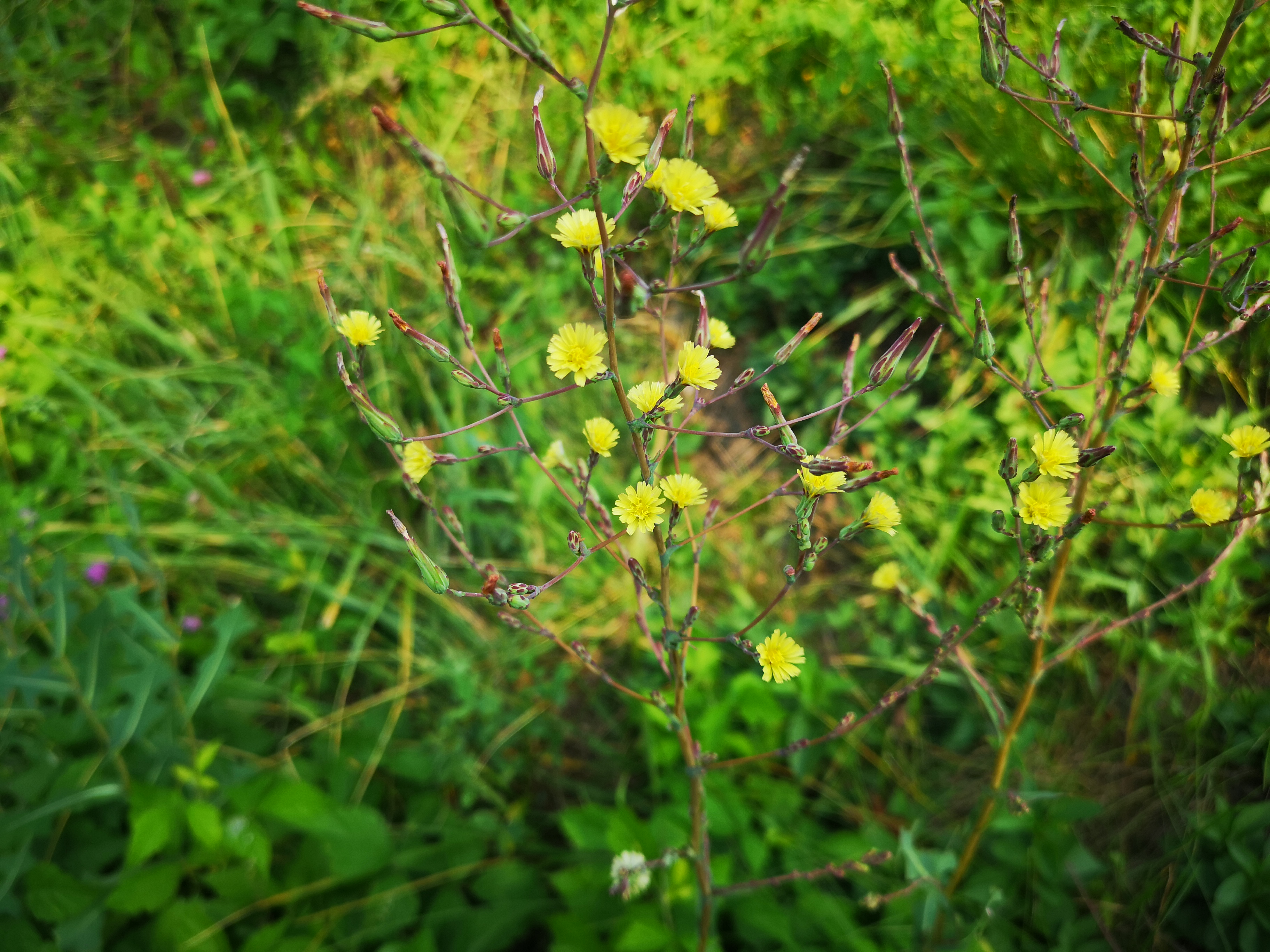 28072019104415 3855 art 1766 img 20190726 093255