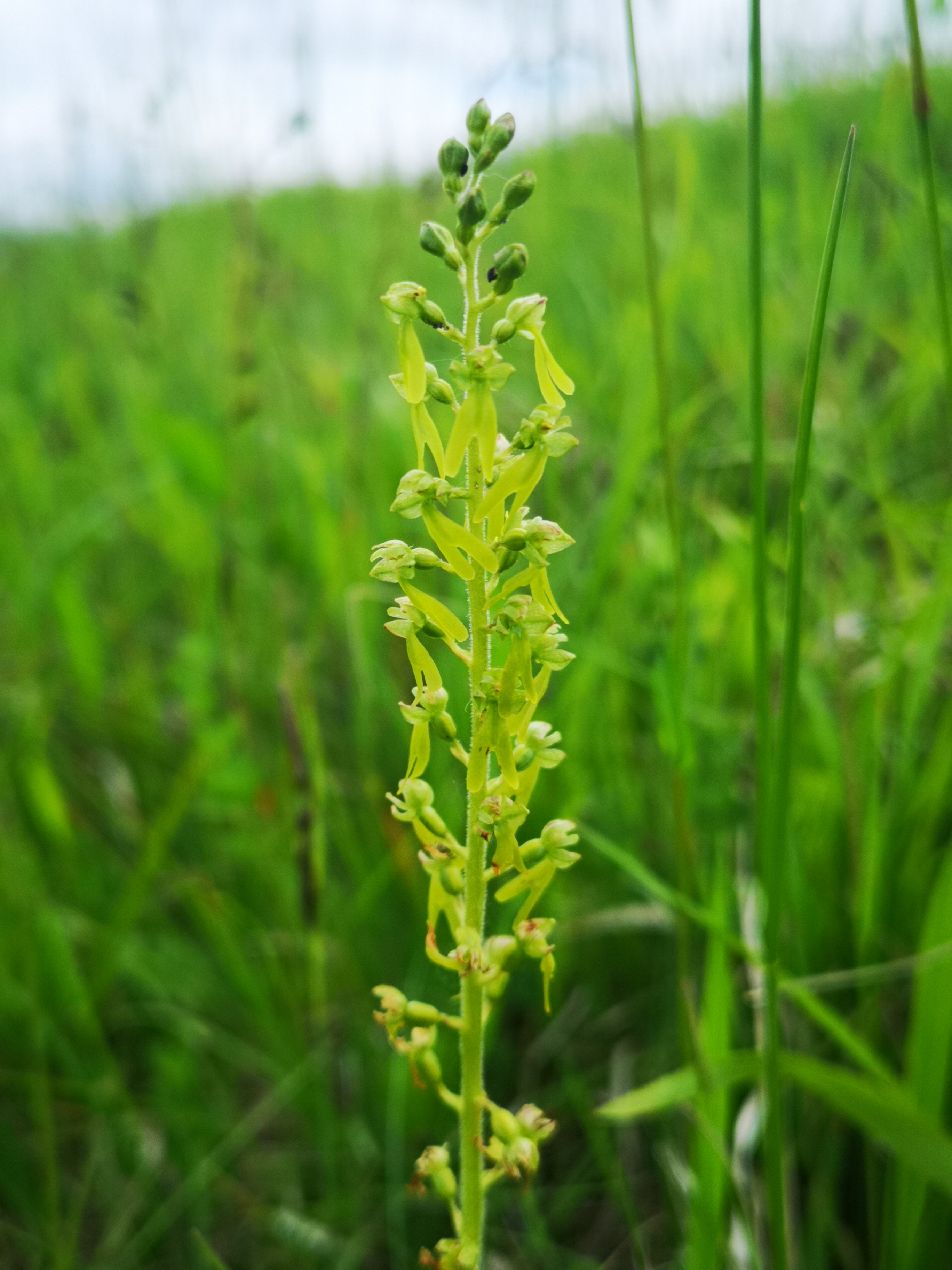 28072019121600 3863 art 1515 img 20190520 150359