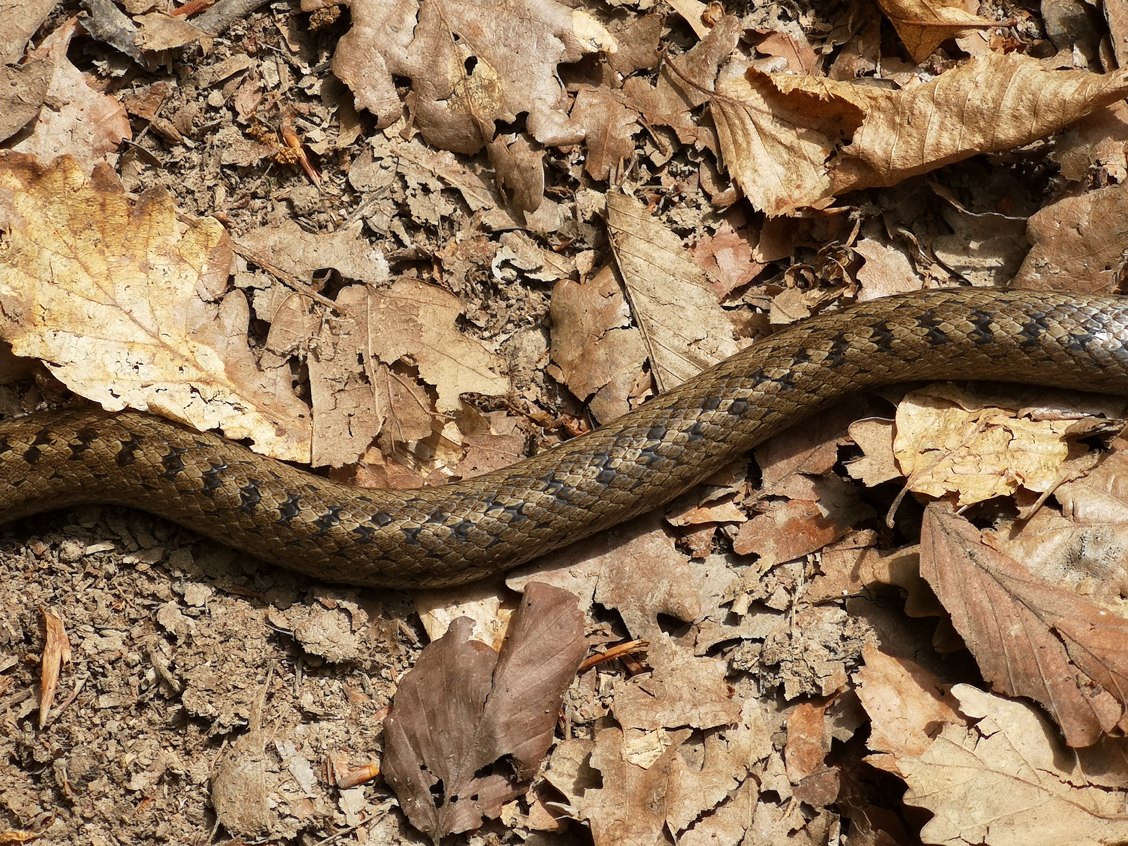 28072019122008 3864 art 934 img 20190521 100908