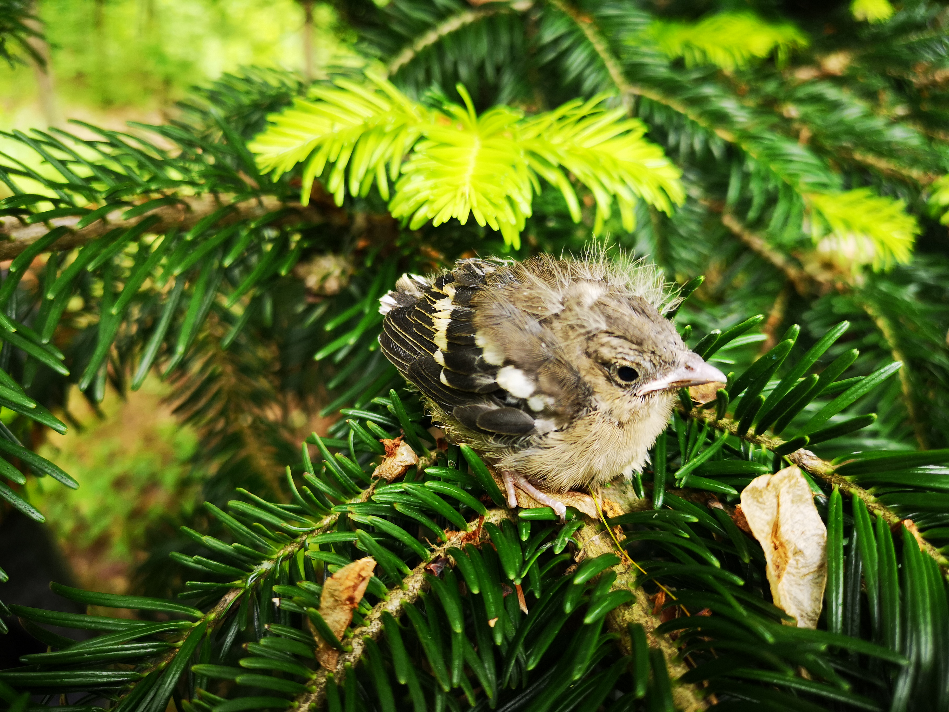 28072019122806 3865 art 2289 img 20190521 110539 1