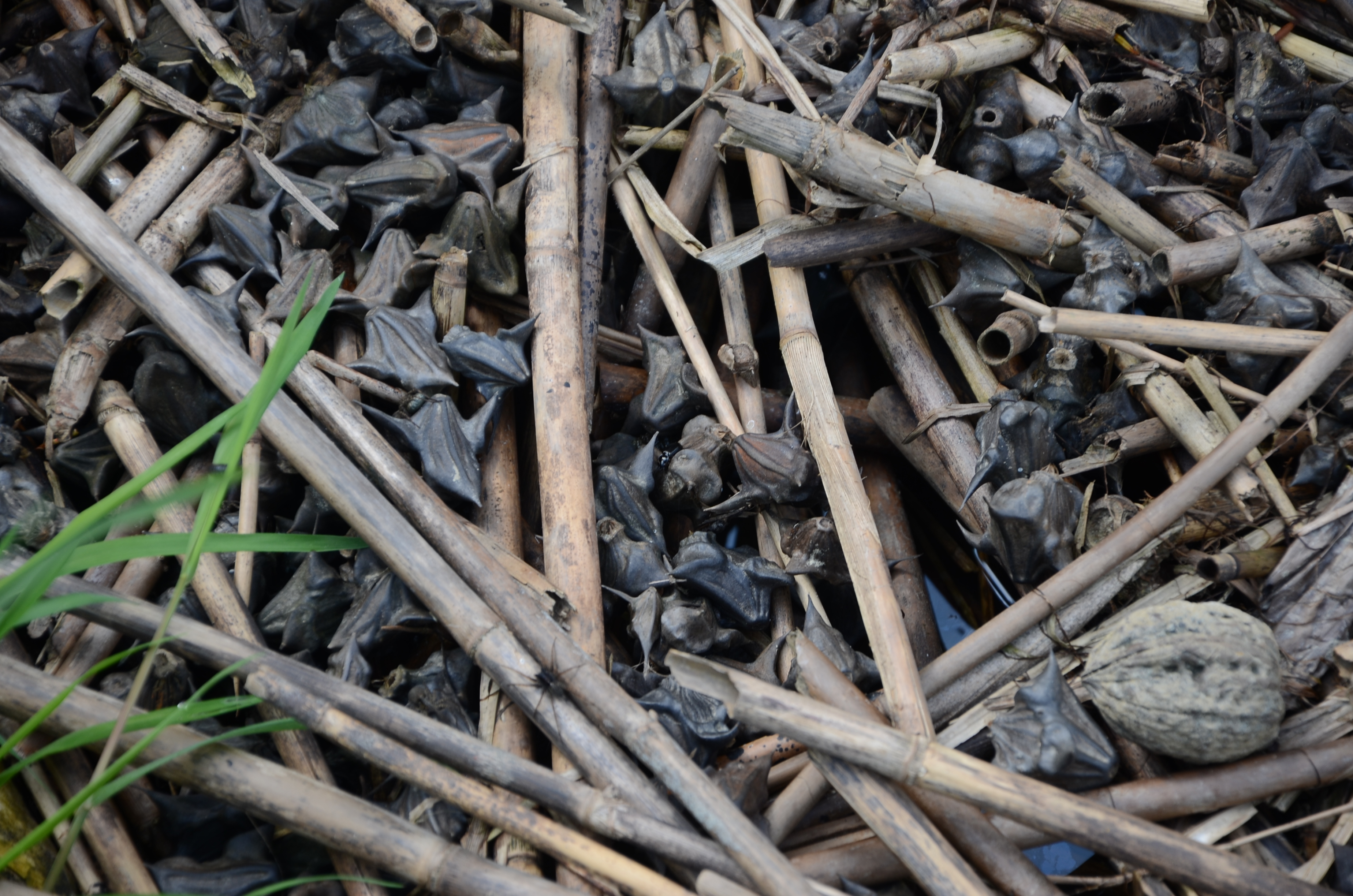 29042014103542 2352 art 1066 dsc 3657