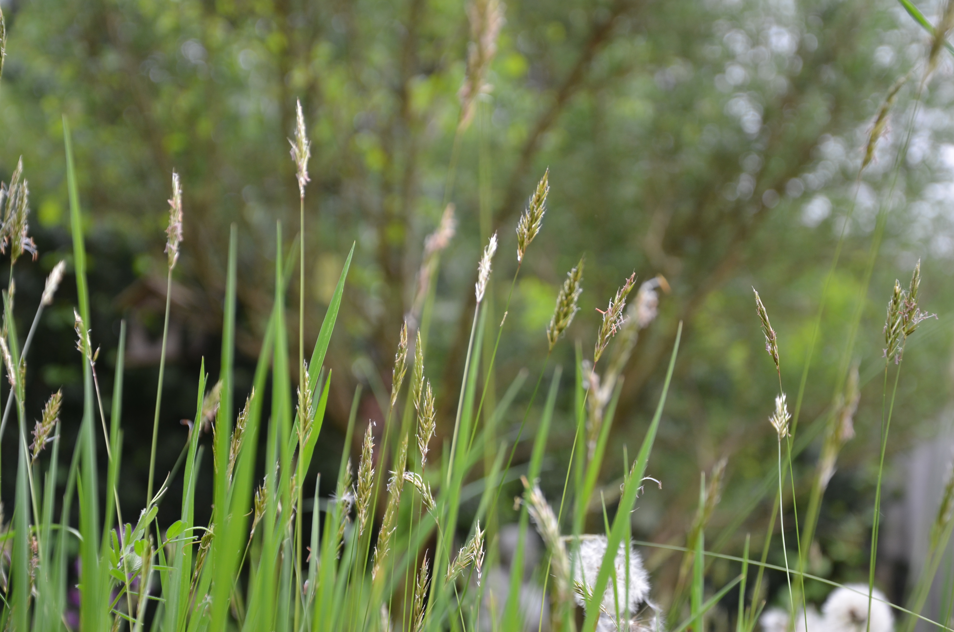 29042014105025 2353 art 1481 dsc 3638