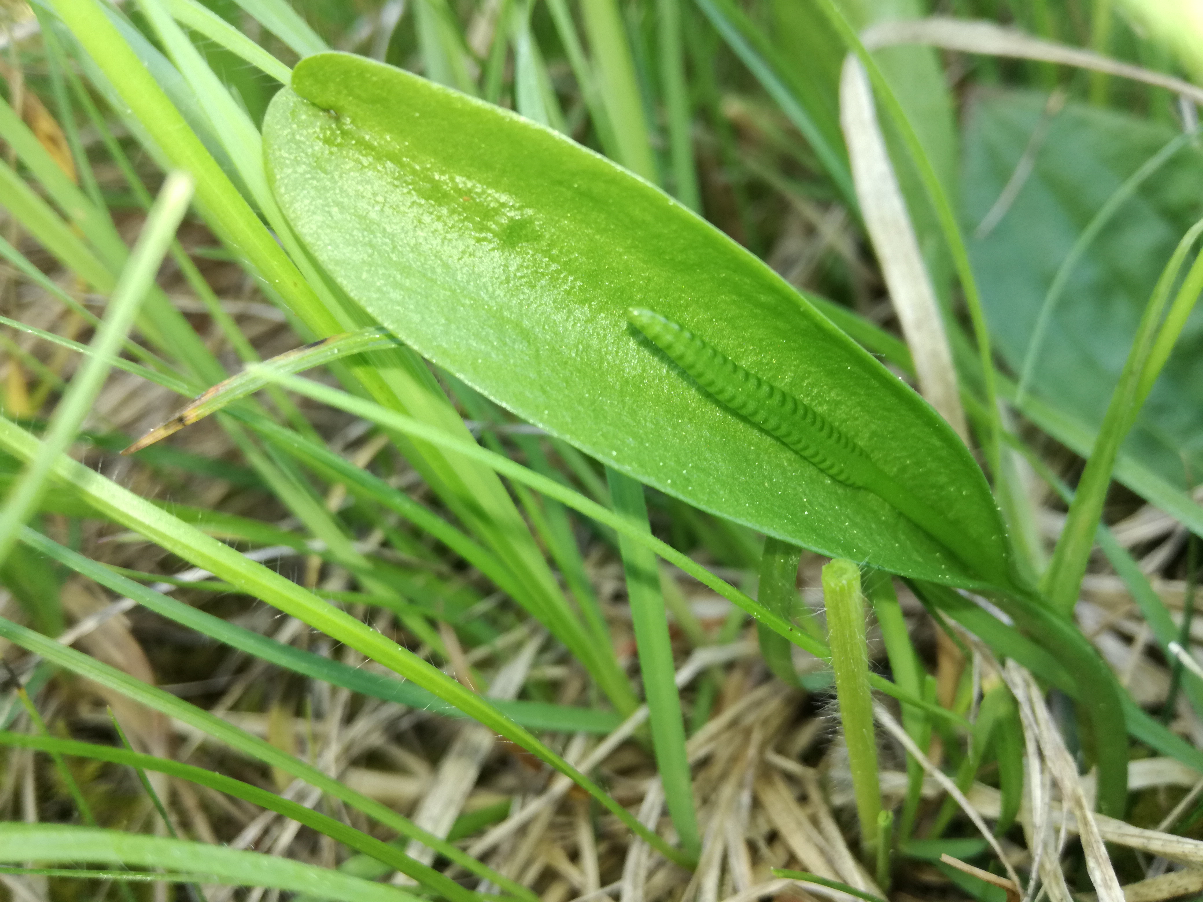 29042018172559 3545 art 2126 img 20180429 090433 1