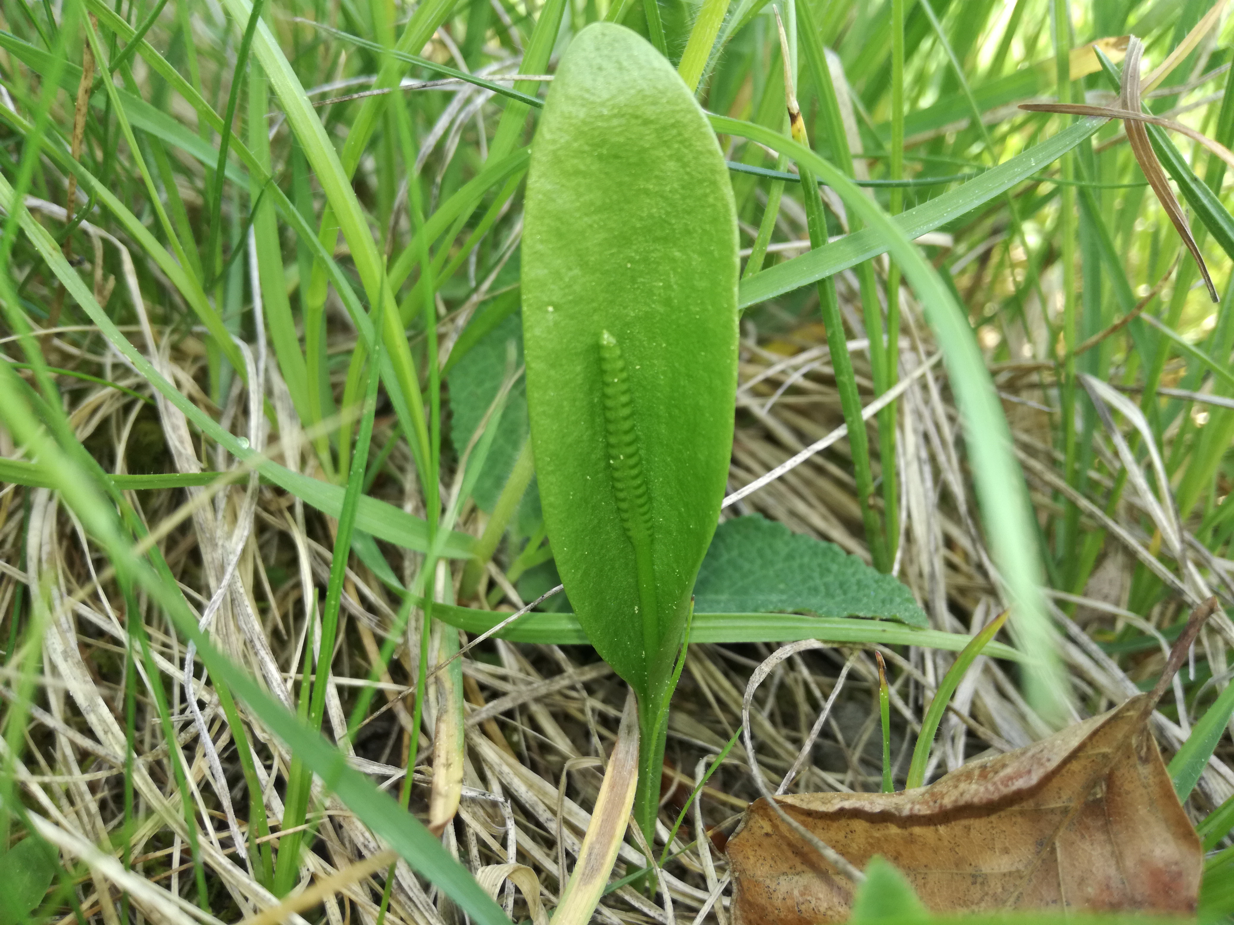 29042018172709 3546 art 2126 img 20180429 090457 1