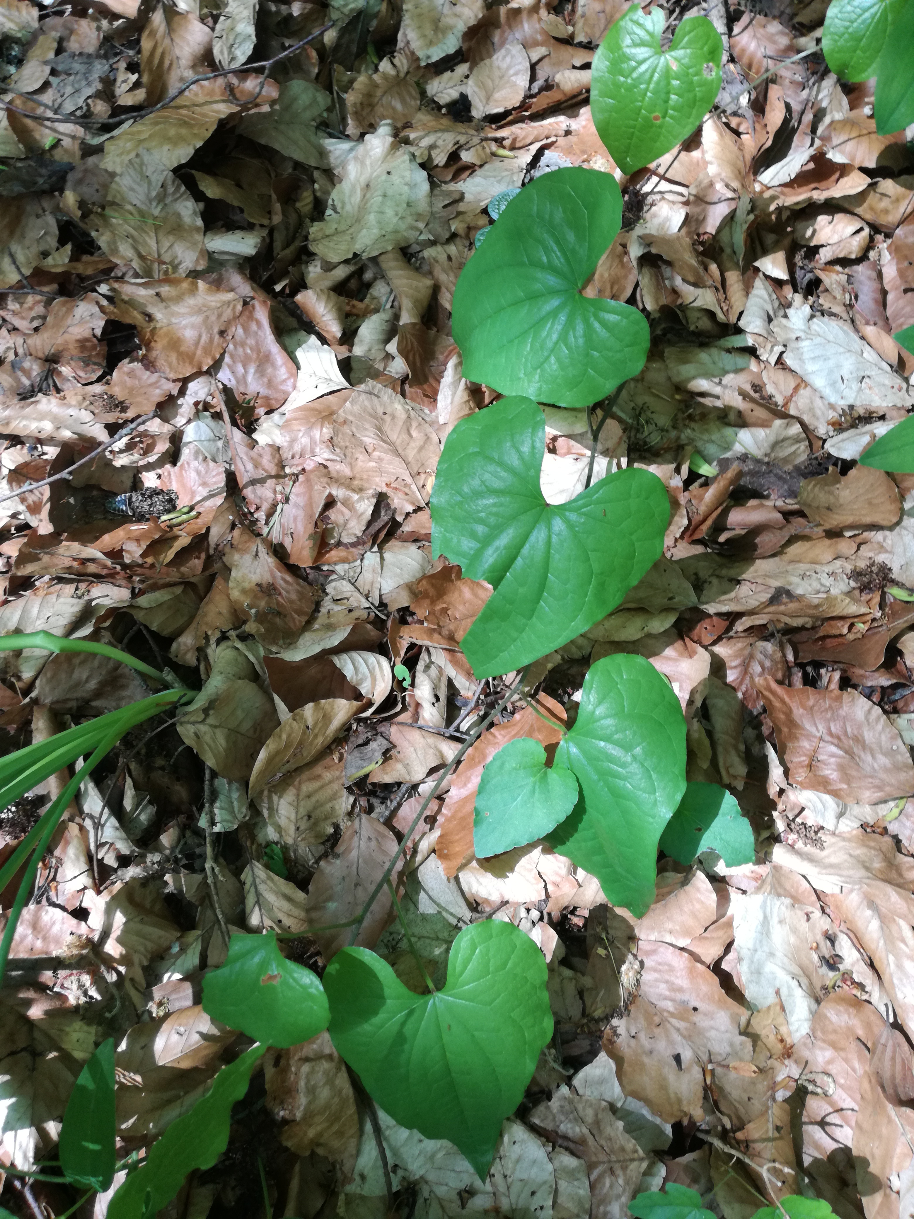 29042018173415 3548 art 1462 img 20180429 105505