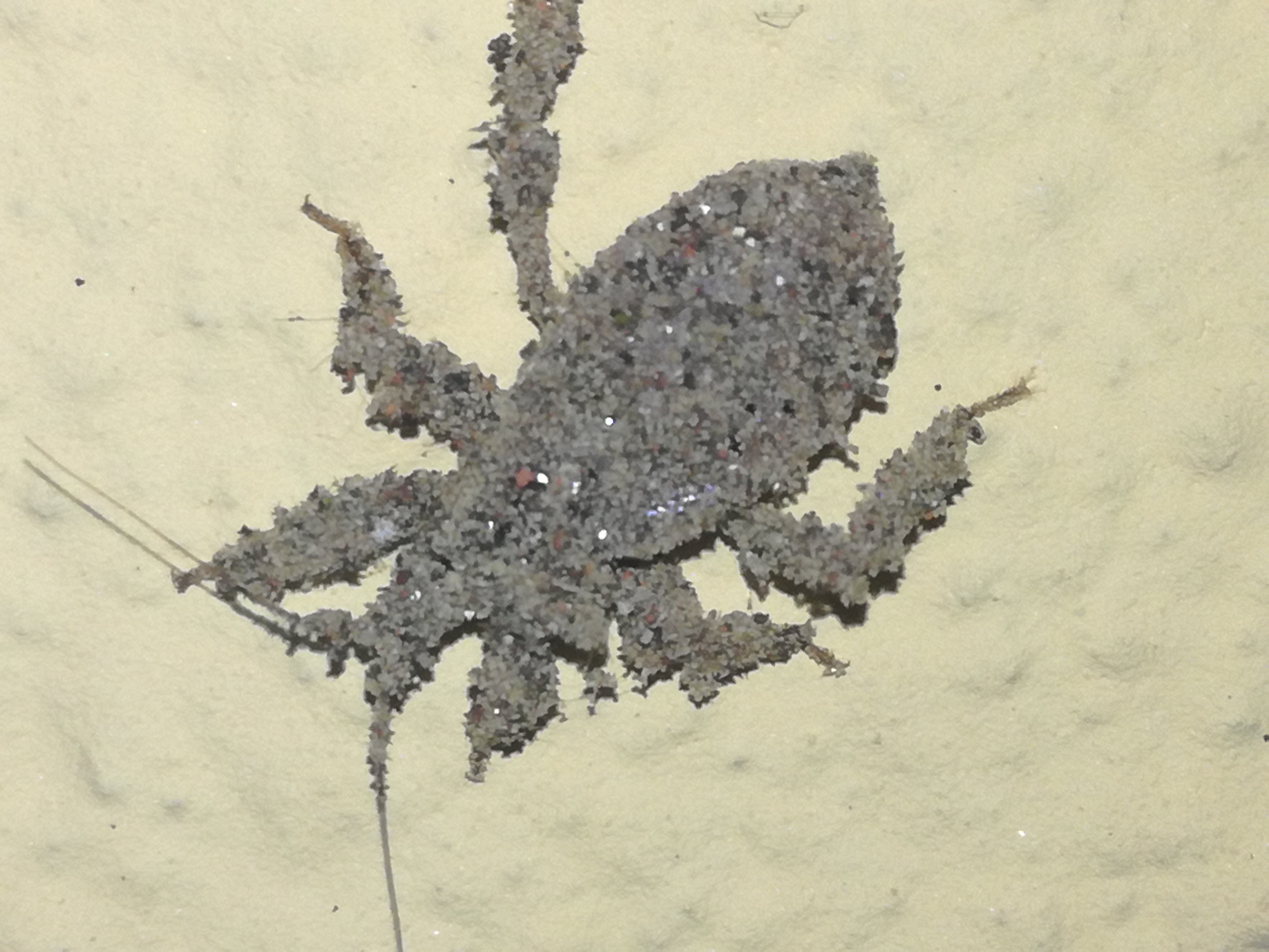 29052018222949 3696 art 2226 img 20180528 215552