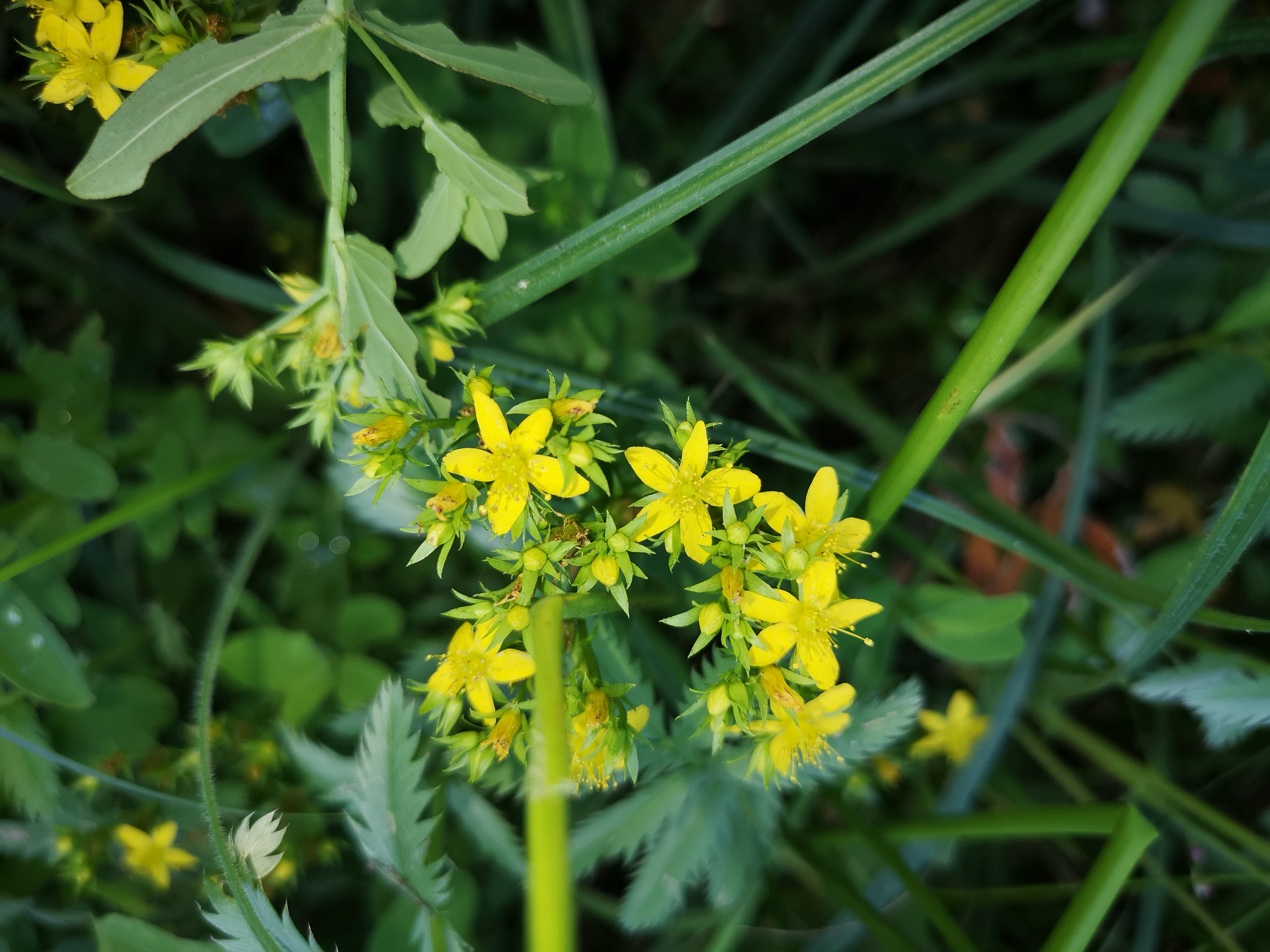 29072018184000 3841 art 2281 img 20180727 123505